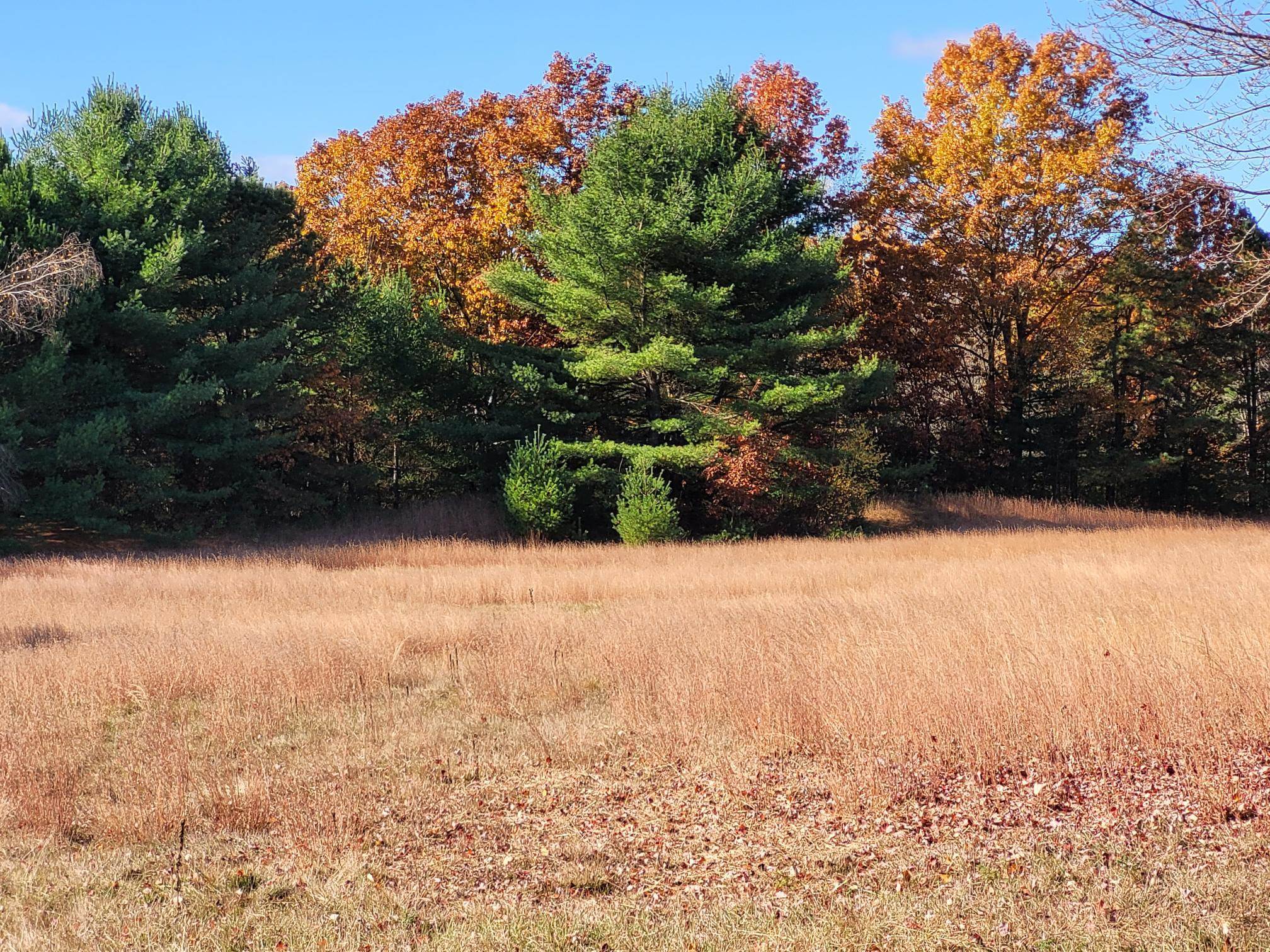 Essex Junction, Vermont 05452, United States, ,Land,Active,235525