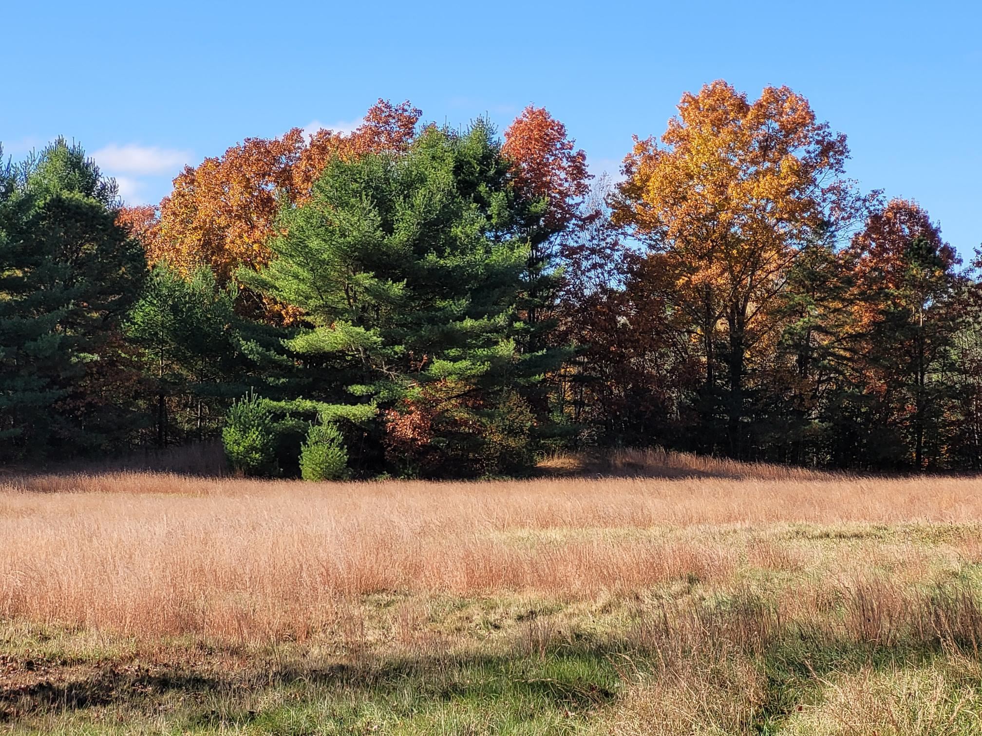 Essex Junction, Vermont 05452, United States, ,Land,Active,235525
