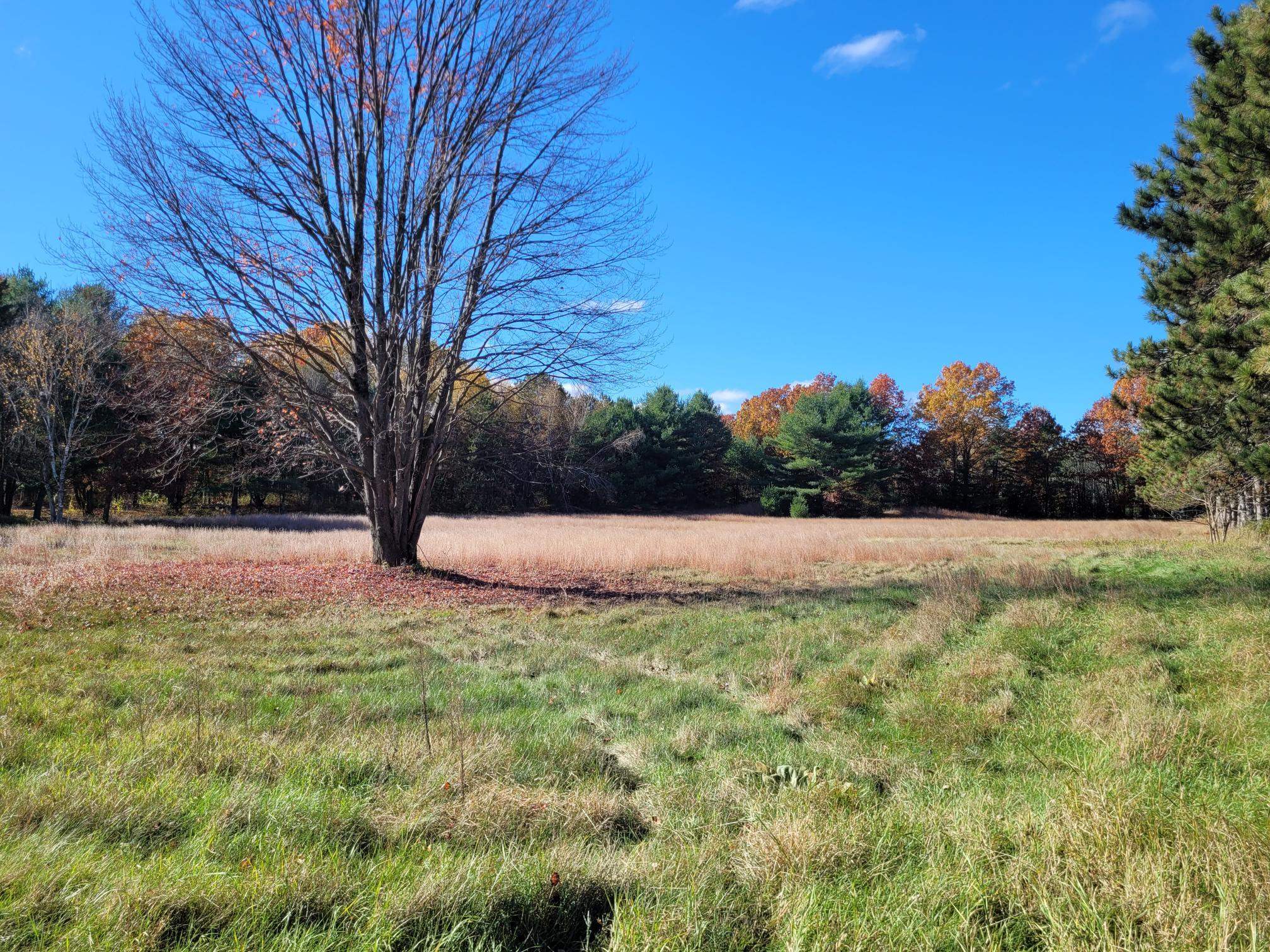 Essex Junction, Vermont 05452, United States, ,Land,Active,235525