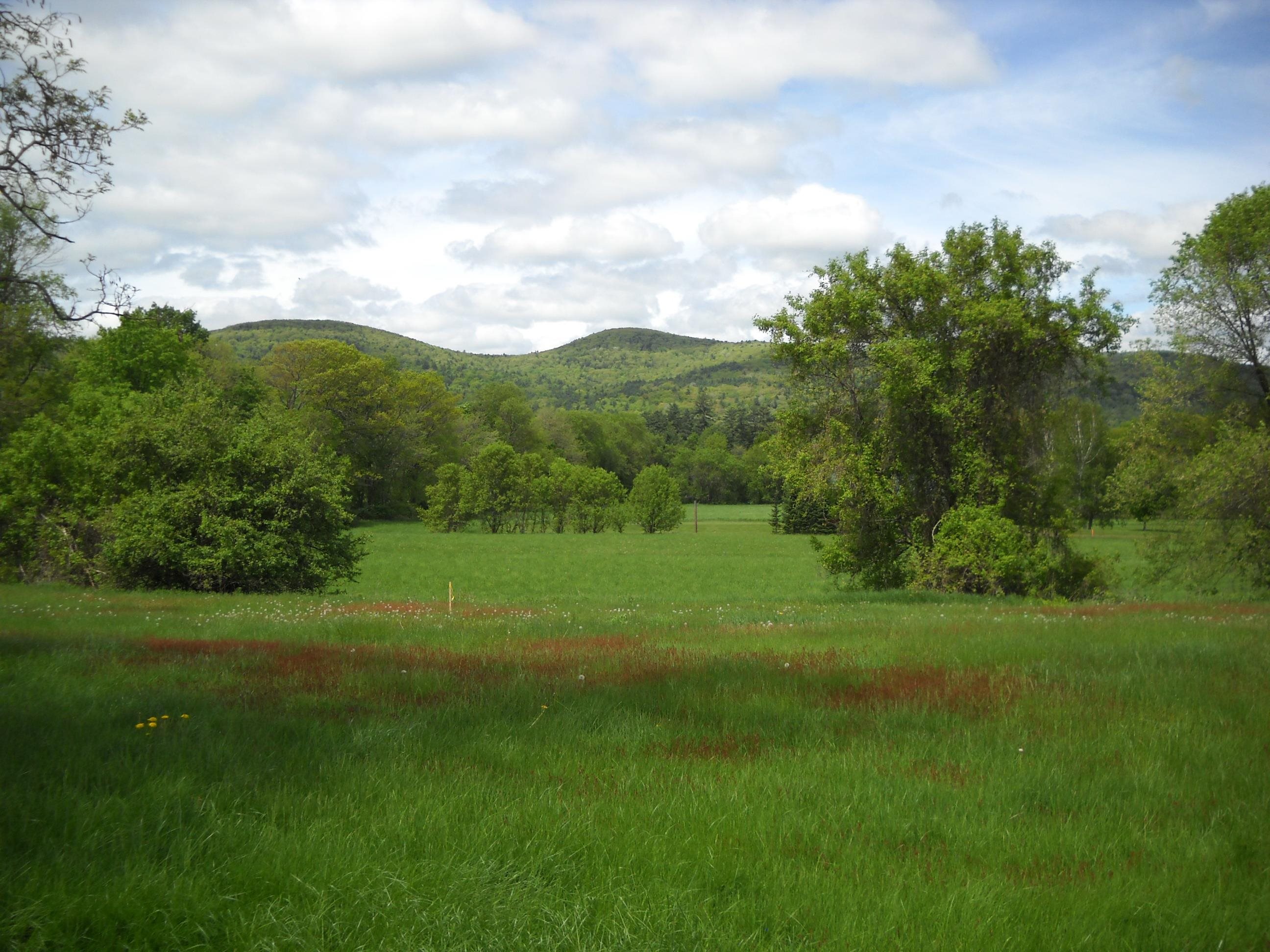 00 Route 10 Lot 3