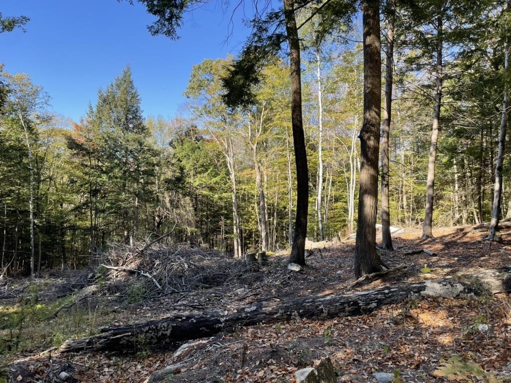 341 Perkins Hill Road 7