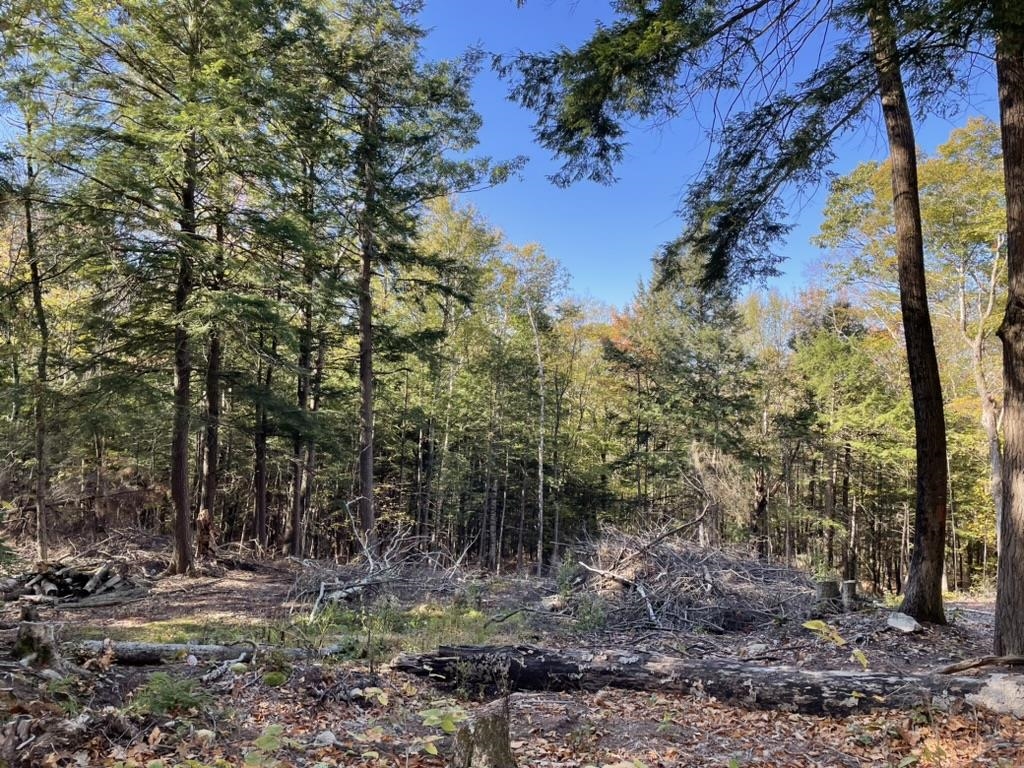 341 Perkins Hill Road 7