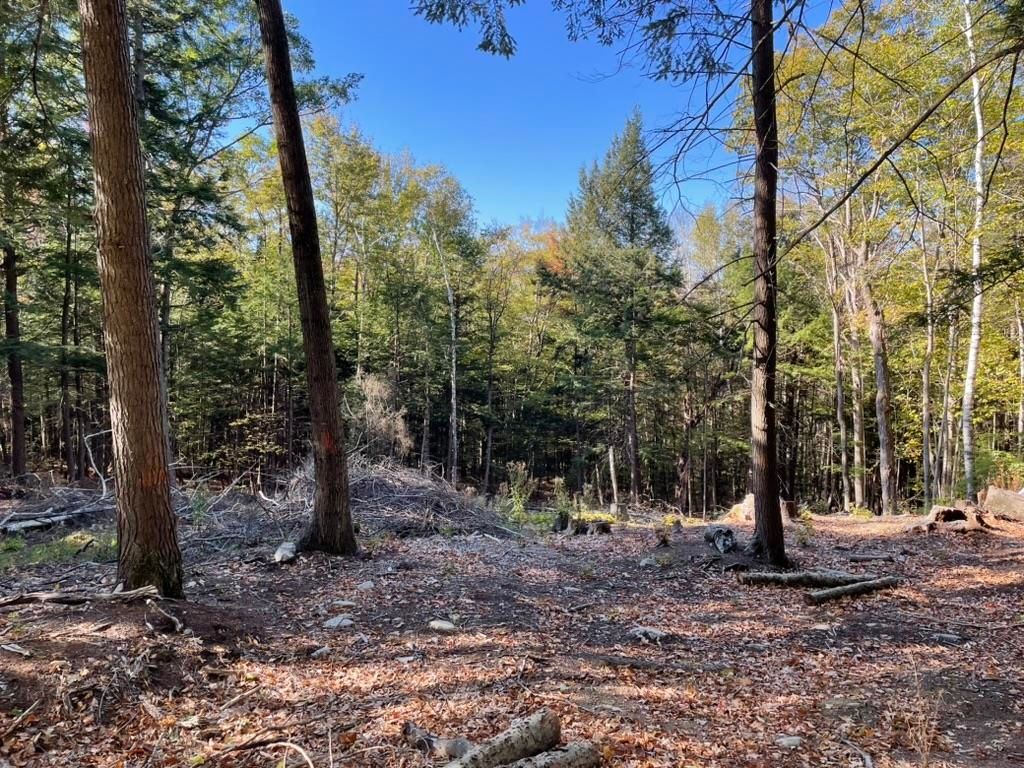 Photo of 341 Perkins Hill Road #7, Alexandria, NH 03222 (MLS # 5071368)