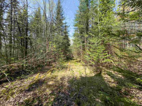 538 Oregon Road Concord VT 05824