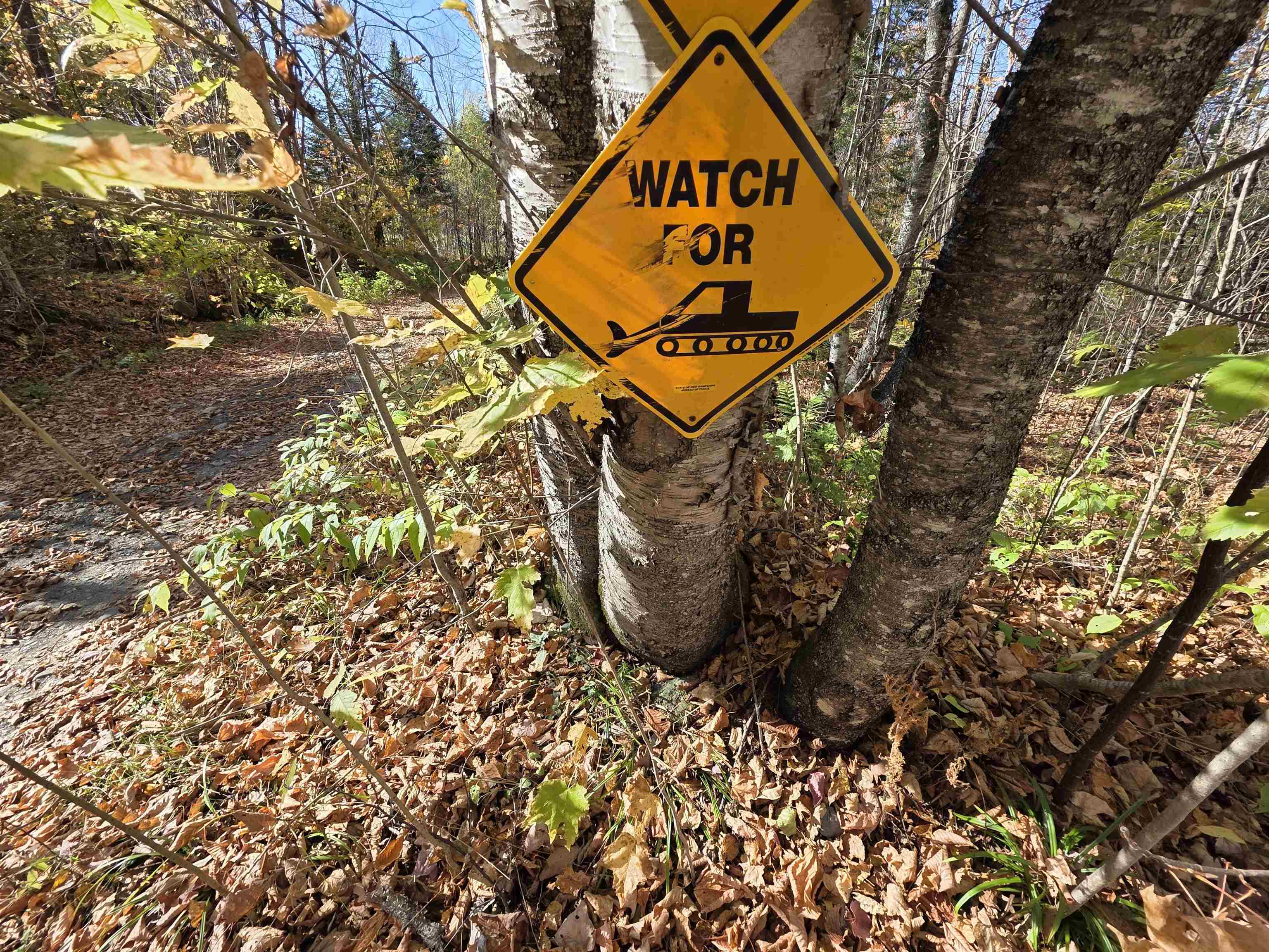 Columbia, New Hampshire 03576, United States, ,Land,Active,234200