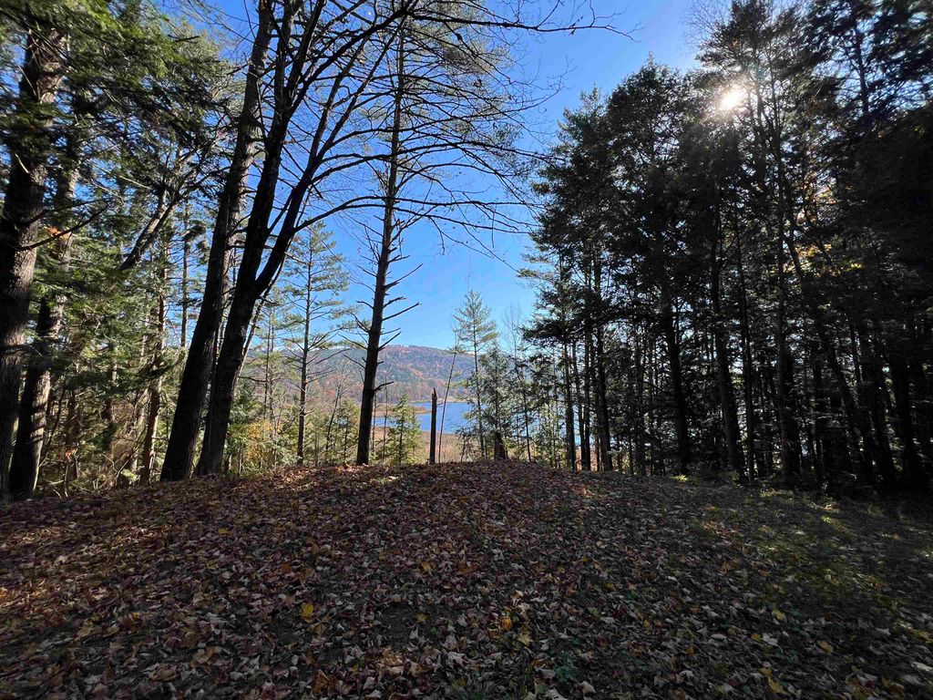 Photo of 31 Post Pond Lane, Lyme, NH 03768 (MLS # 5083505)