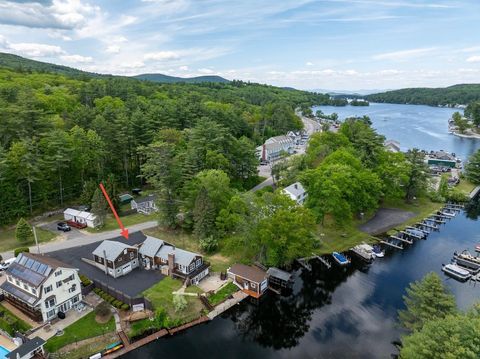 Photo of 23 Riverlake Street, Alton, NH 03810 (MLS # 5046652)