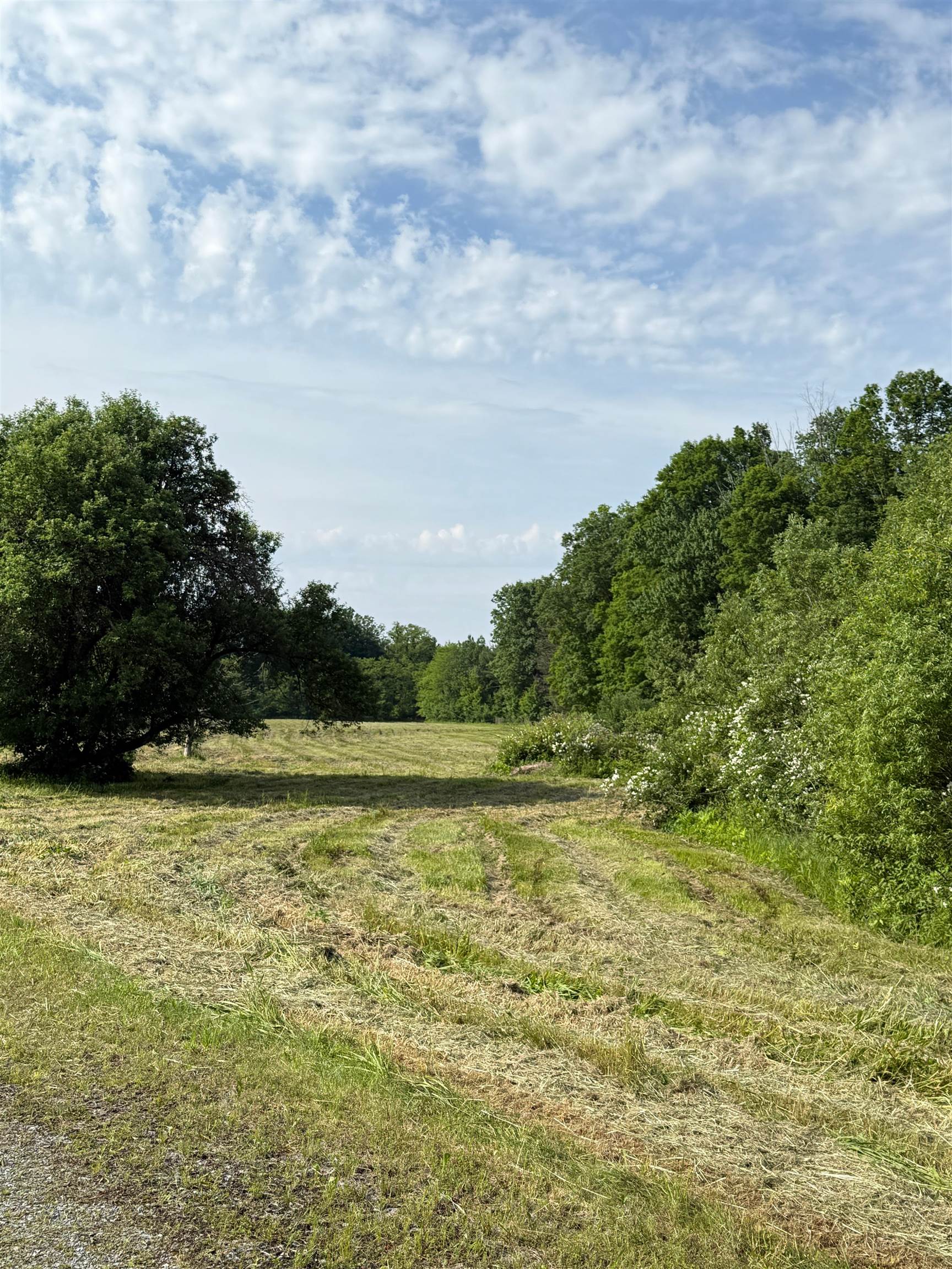 720 North Branch Street