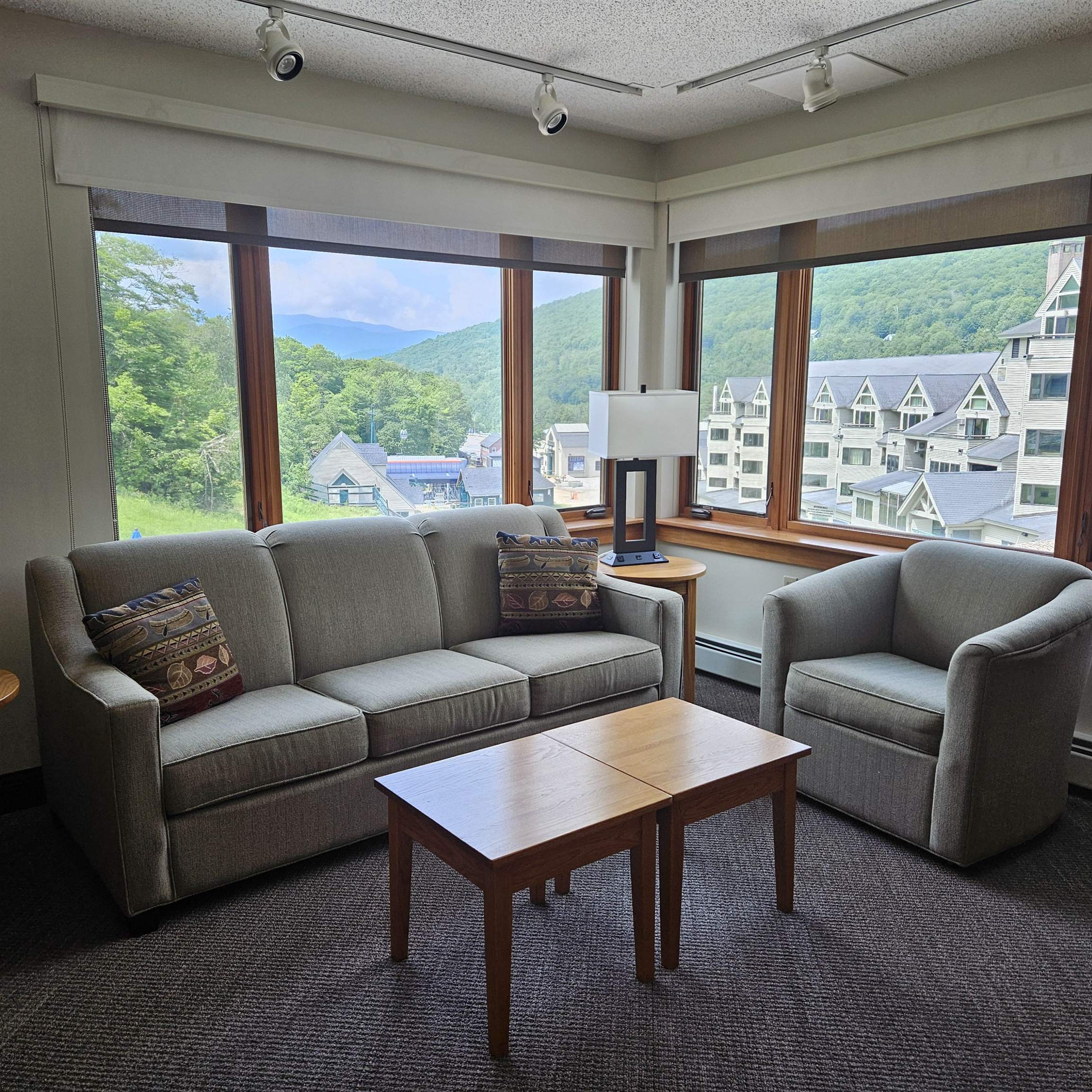 90 Loon Mountain Road 1208C