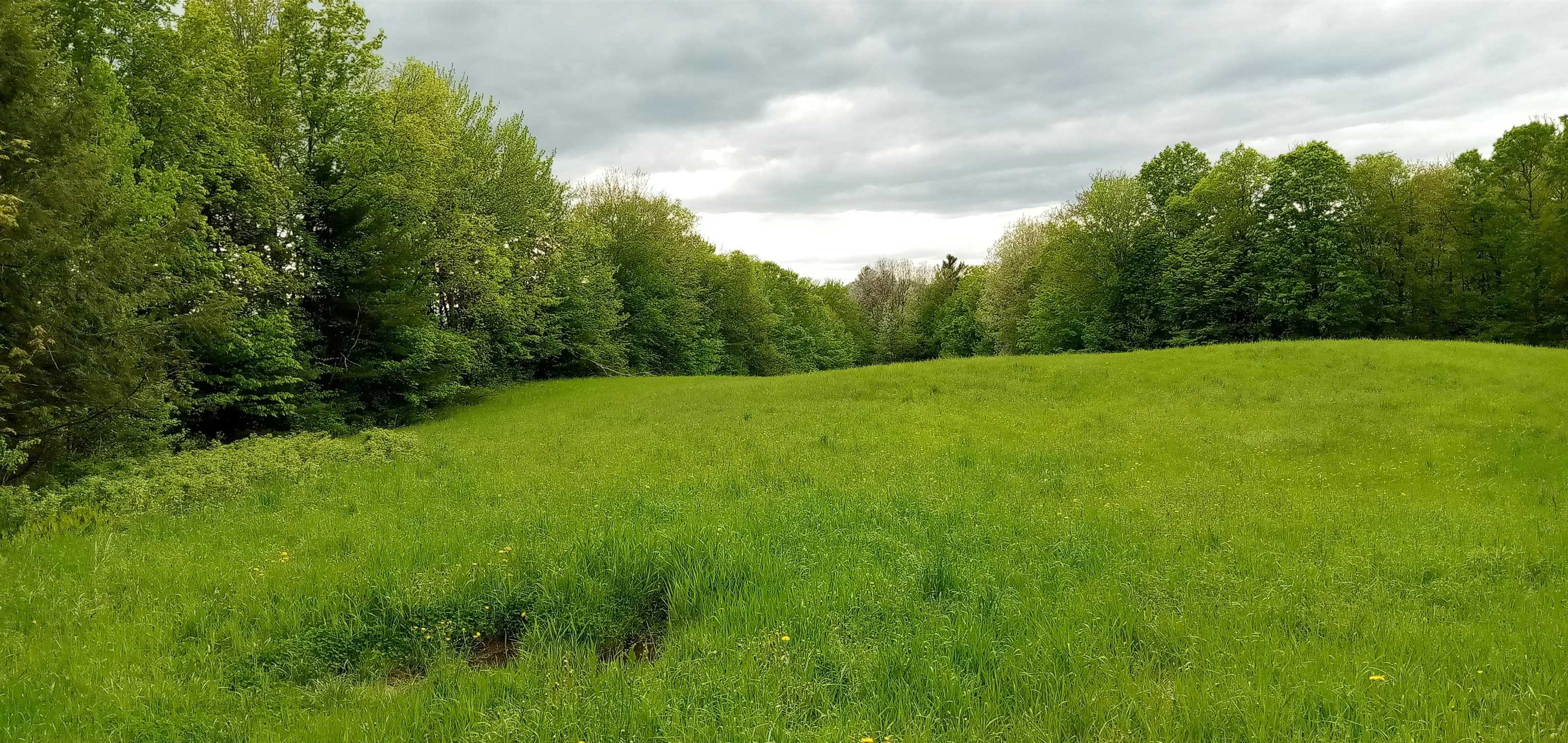 656 Lower Elmore Mt. Road 1