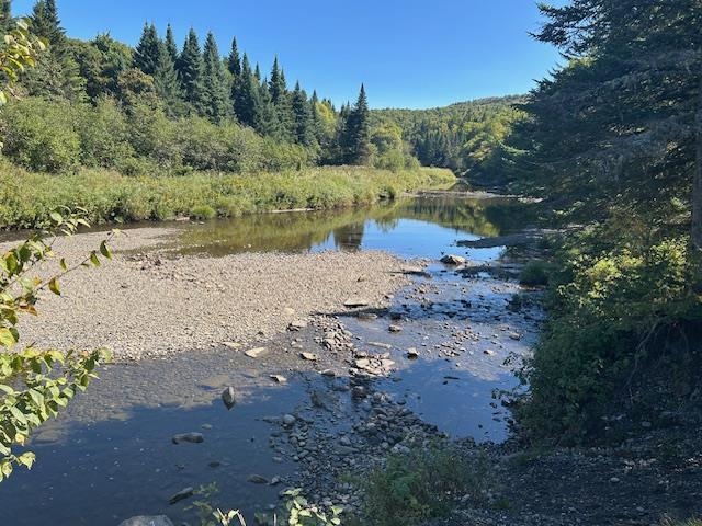 1198 Indian Stream Road