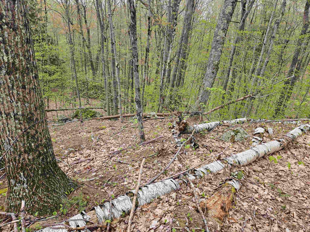 Photo of 123 Paulsen Circle, Haverhill, NH 03765 (MLS # 5052214)