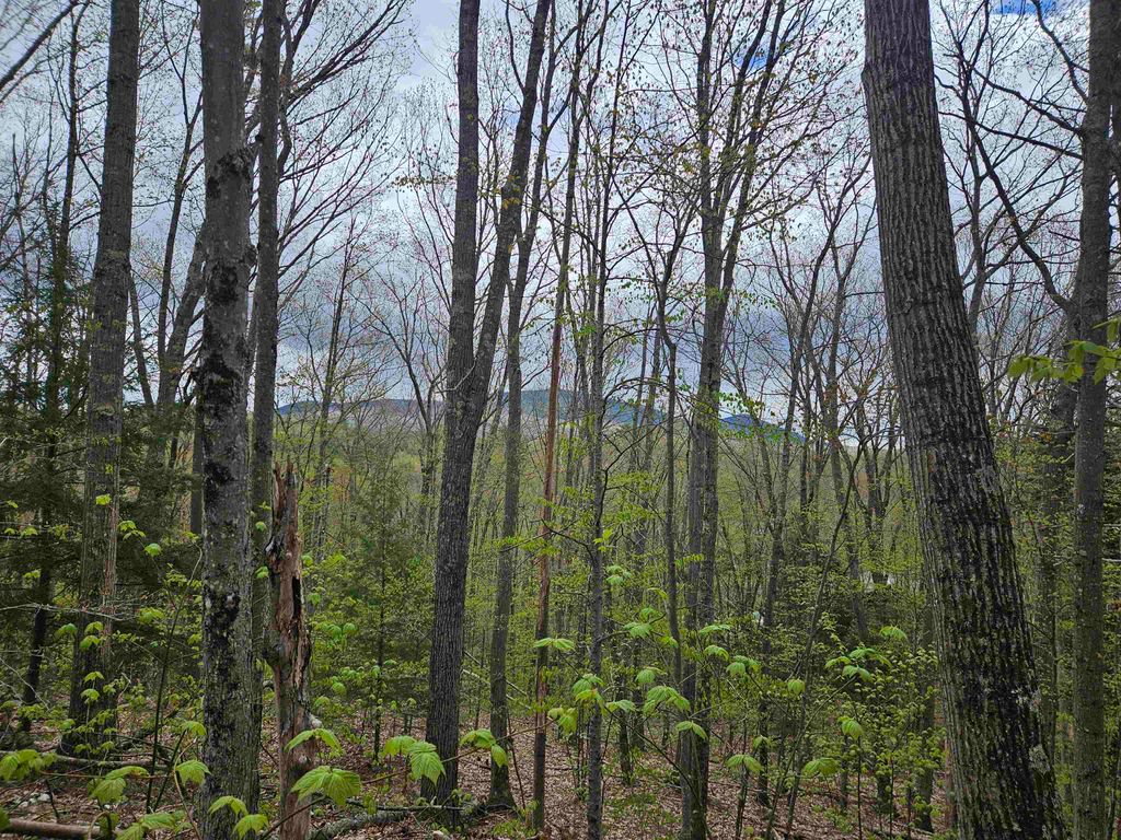 Photo of 123 Paulsen Circle, Haverhill, NH 03765 (MLS # 5052214)