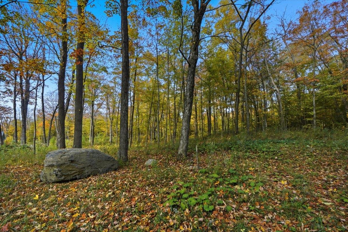 34 Maple Grove Estates 21