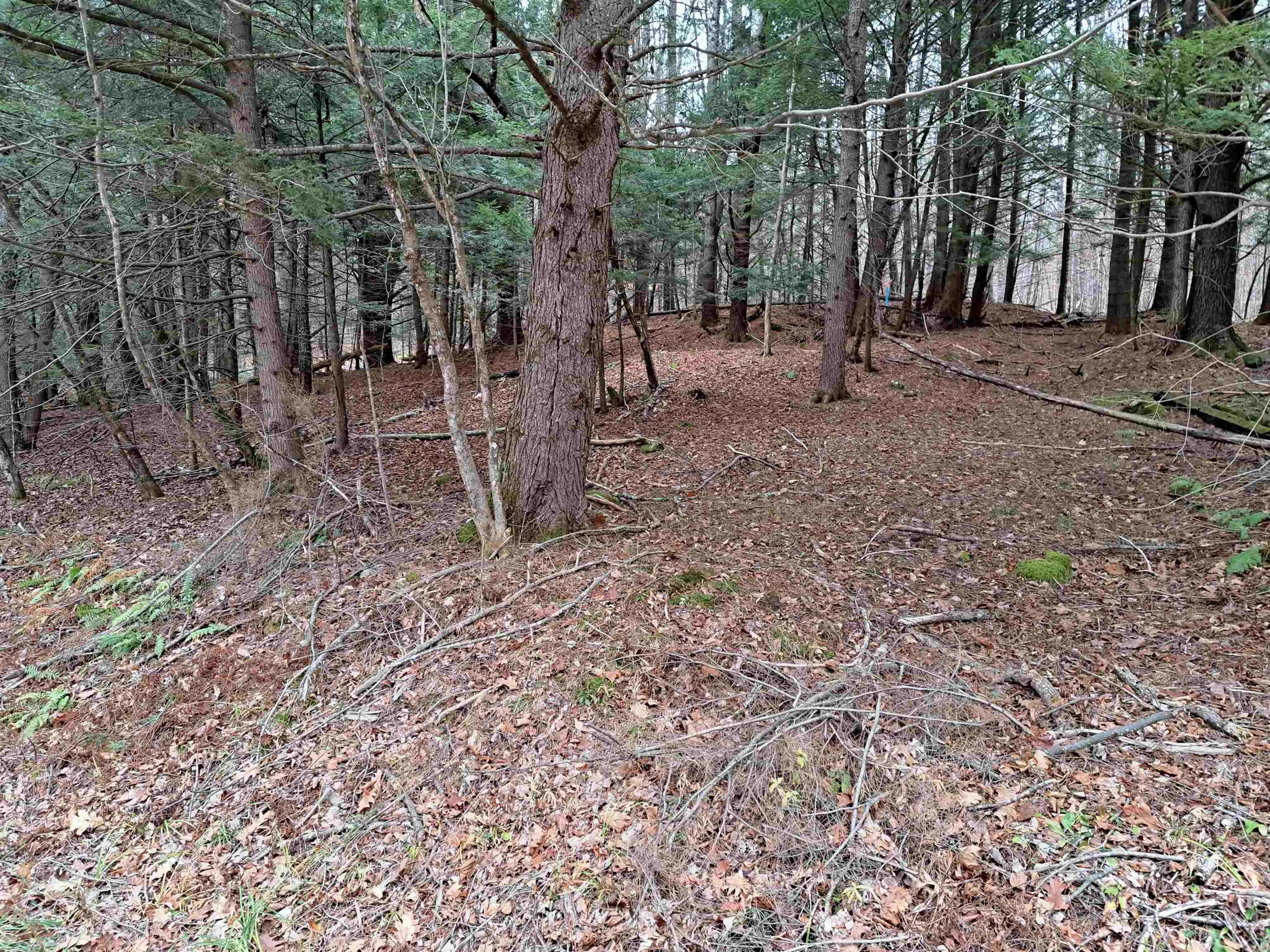 02 West Unity Road 2