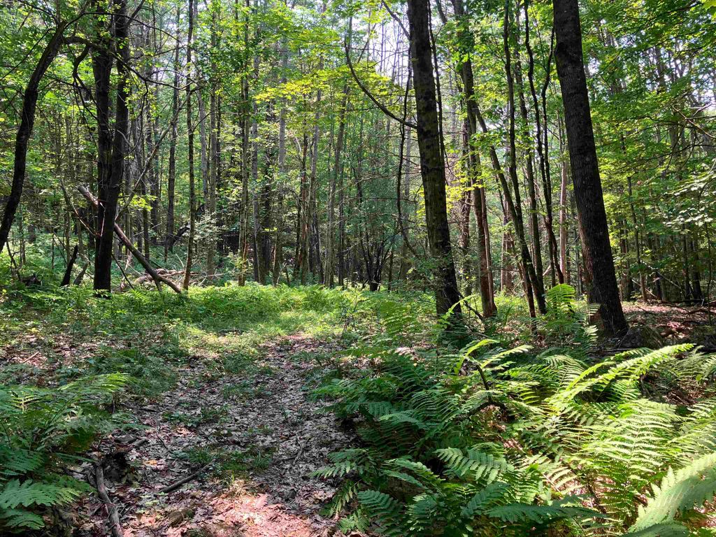 Photo of Slab City Road, Claremont, NH 03743 (MLS # 5036741)