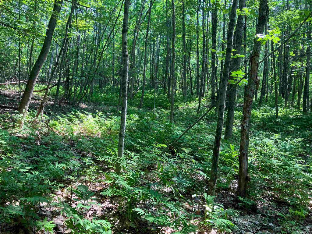 Photo of Slab City Road, Claremont, NH 03743 (MLS # 5036741)