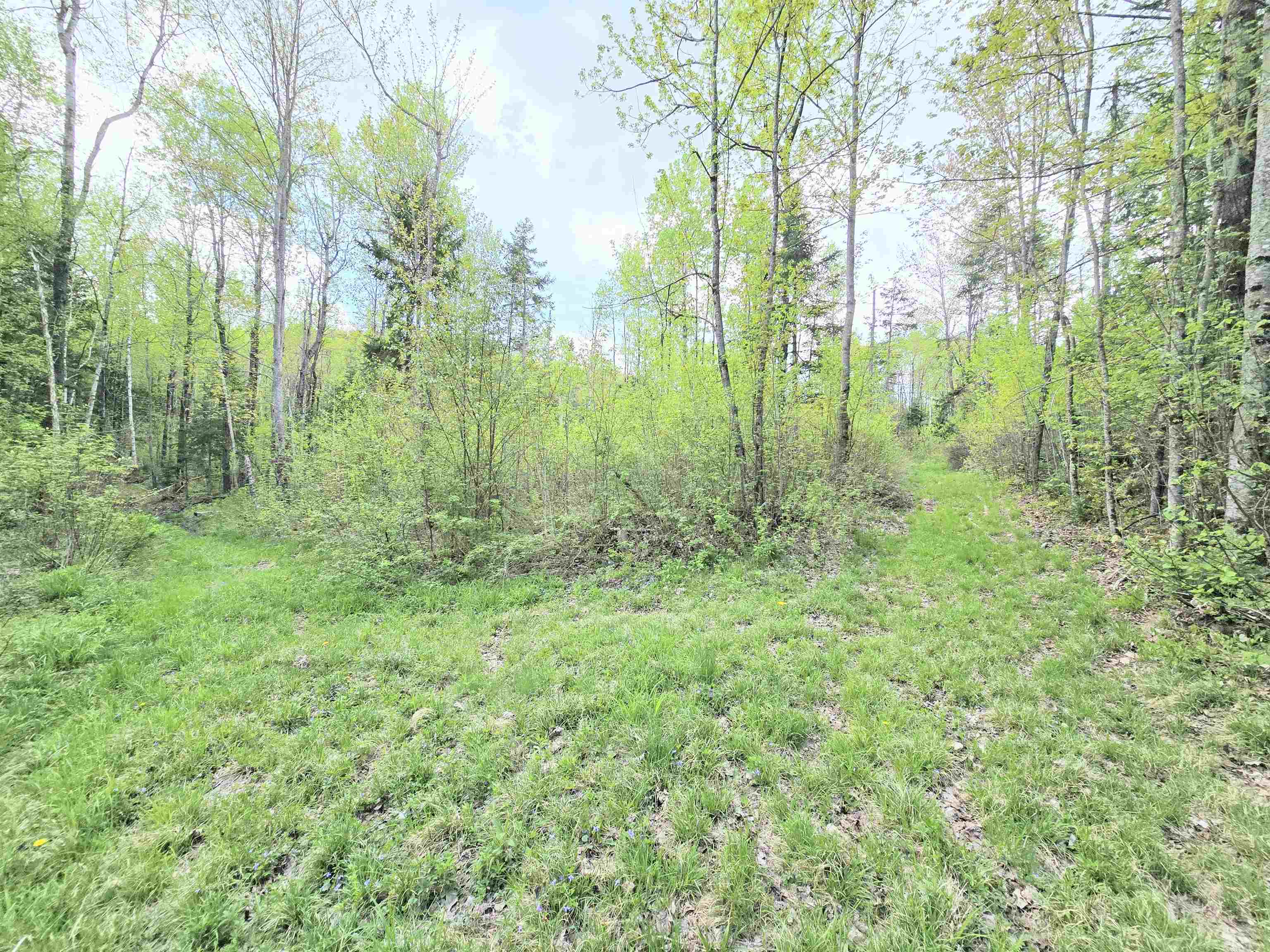 Columbia, New Hampshire 03576, United States, ,Land,Pending,140687