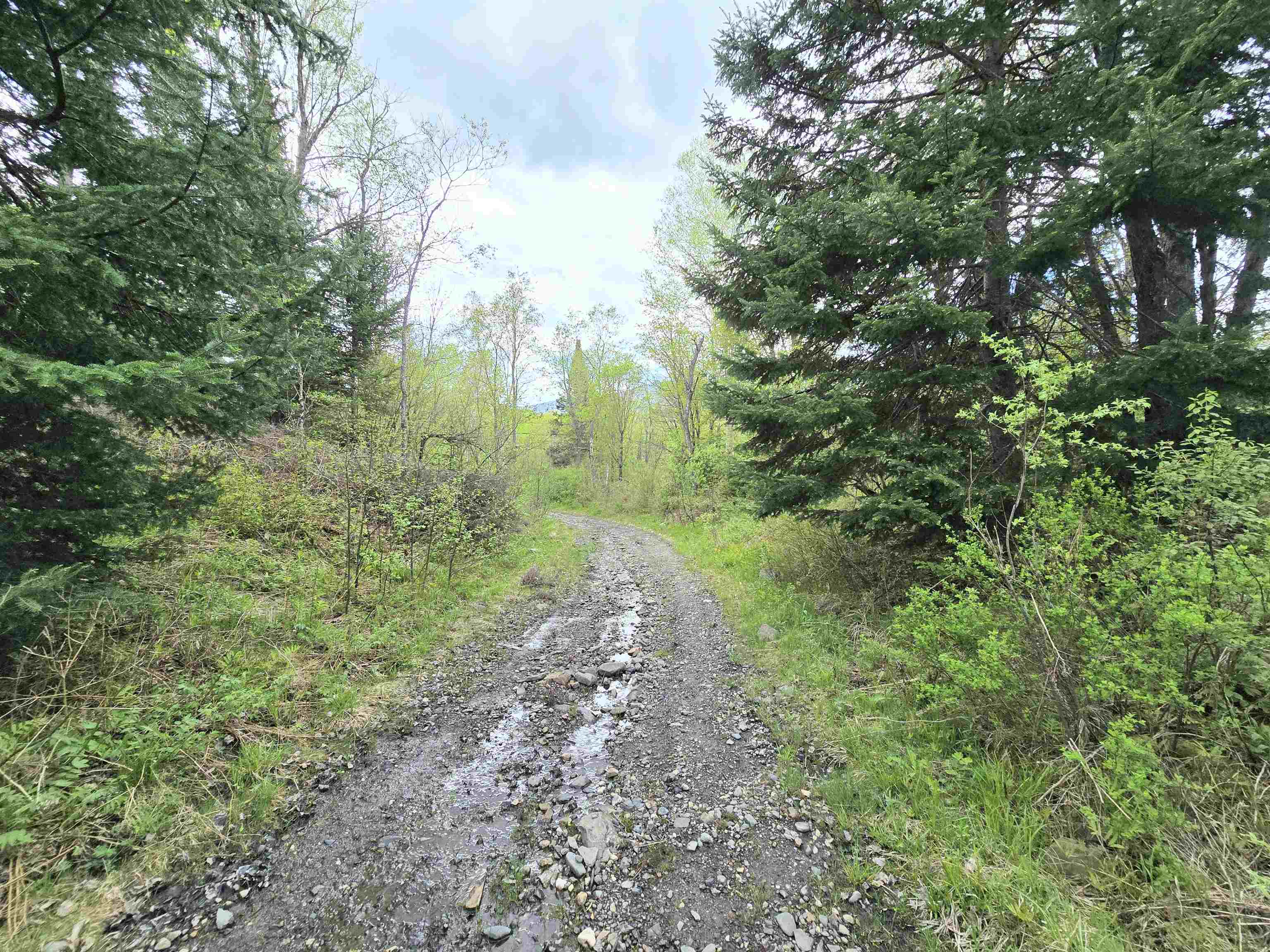 Columbia, New Hampshire 03576, United States, ,Land,Pending,140687