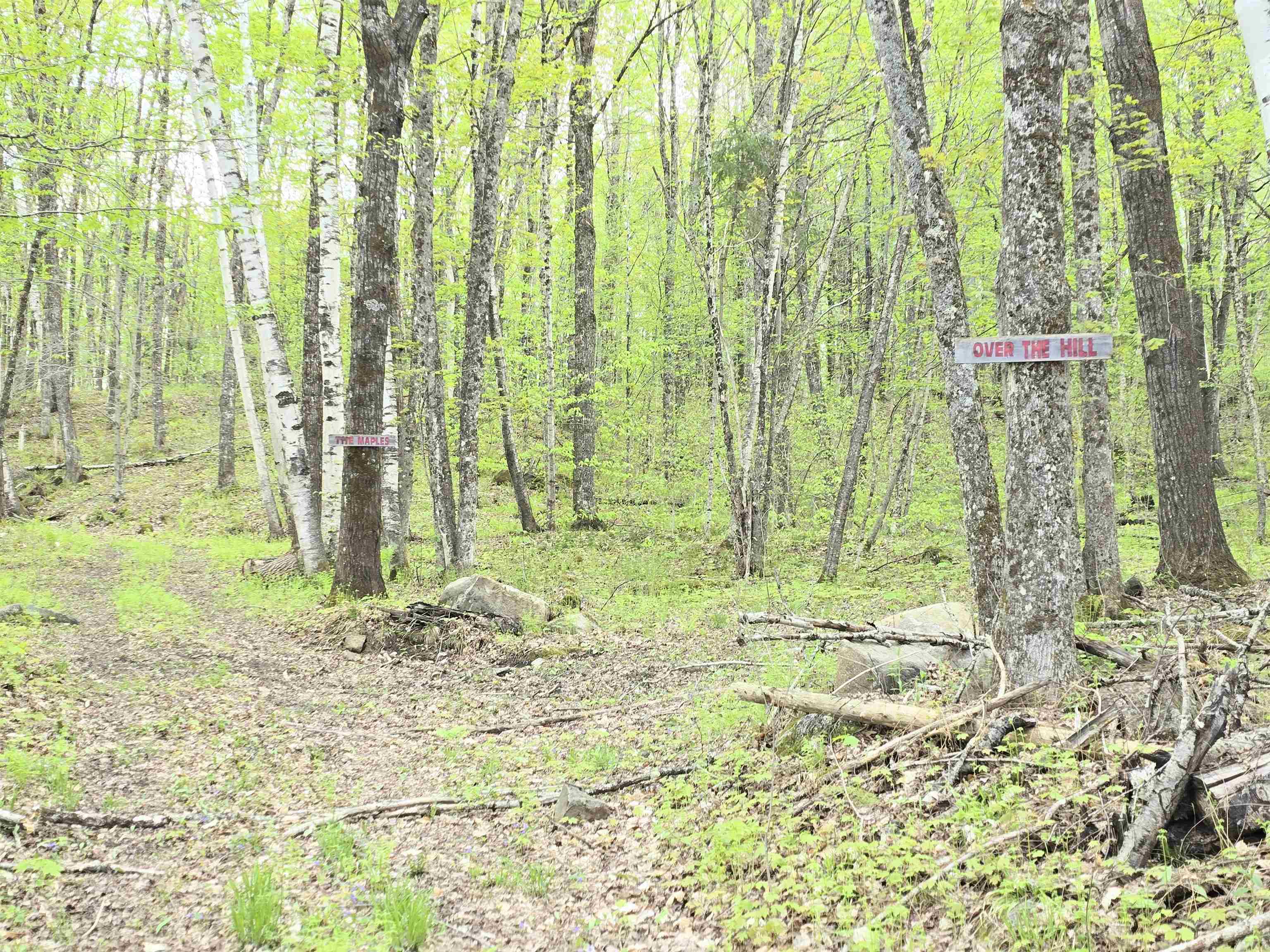 Columbia, New Hampshire 03576, United States, ,Land,Pending,140687