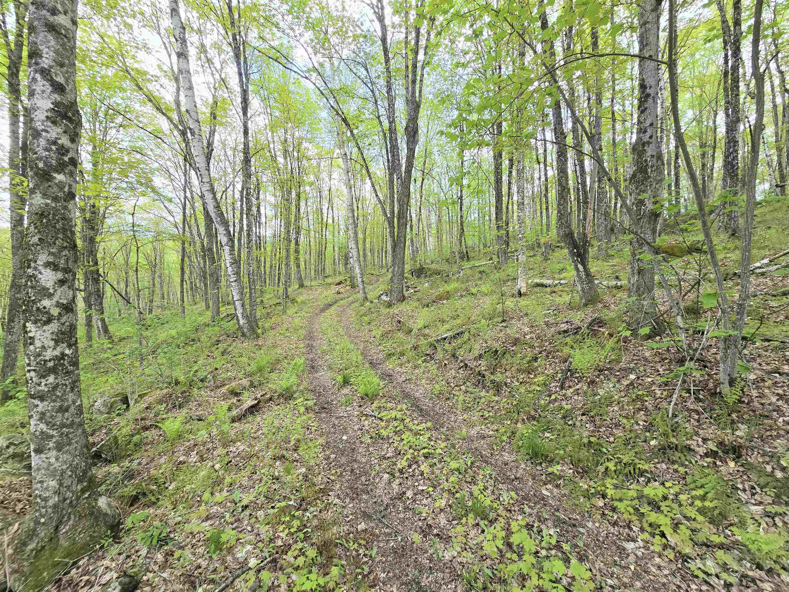 Columbia, New Hampshire 03576, United States, ,Land,Pending,140687