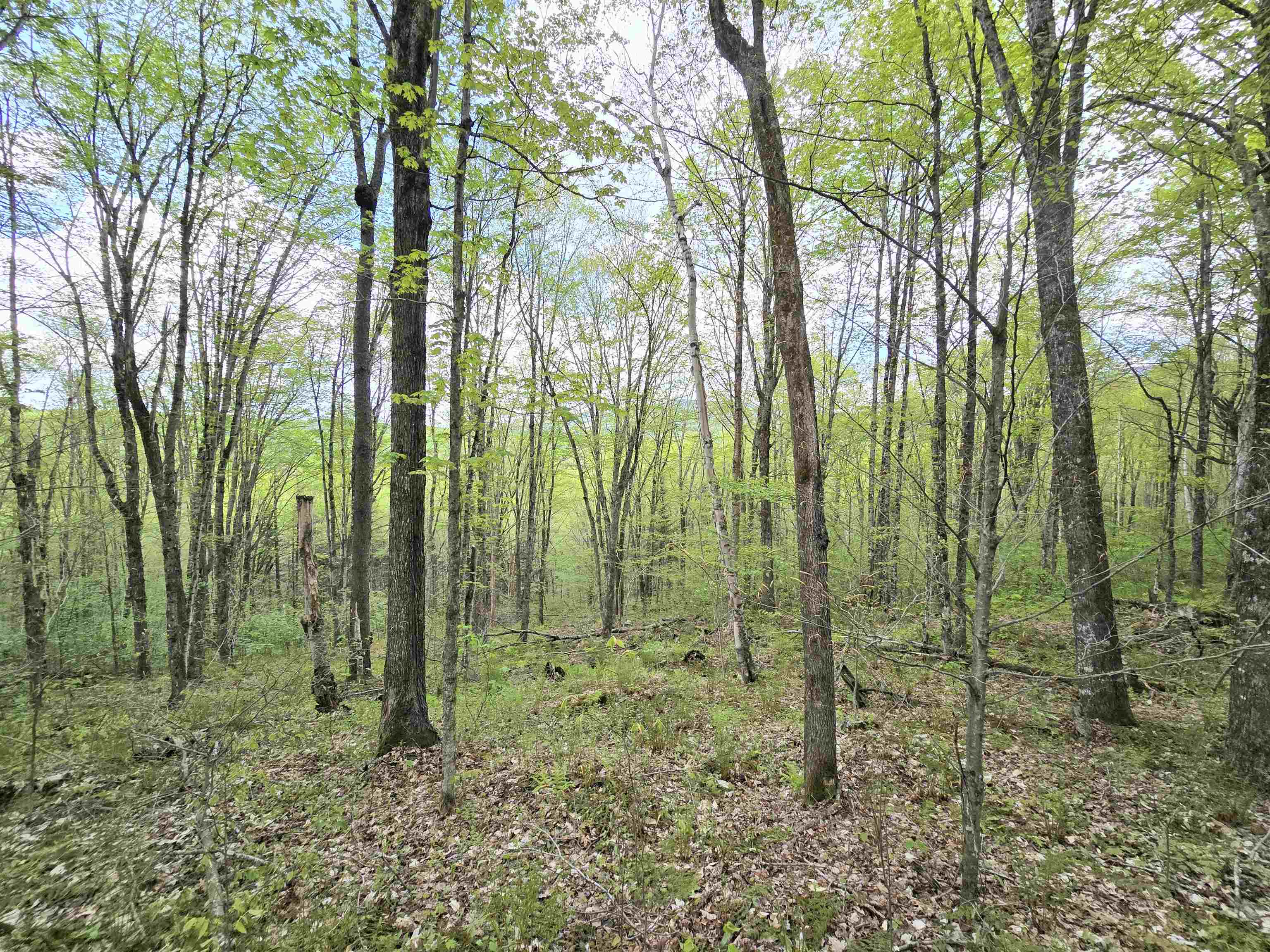 Columbia, New Hampshire 03576, United States, ,Land,Pending,140687