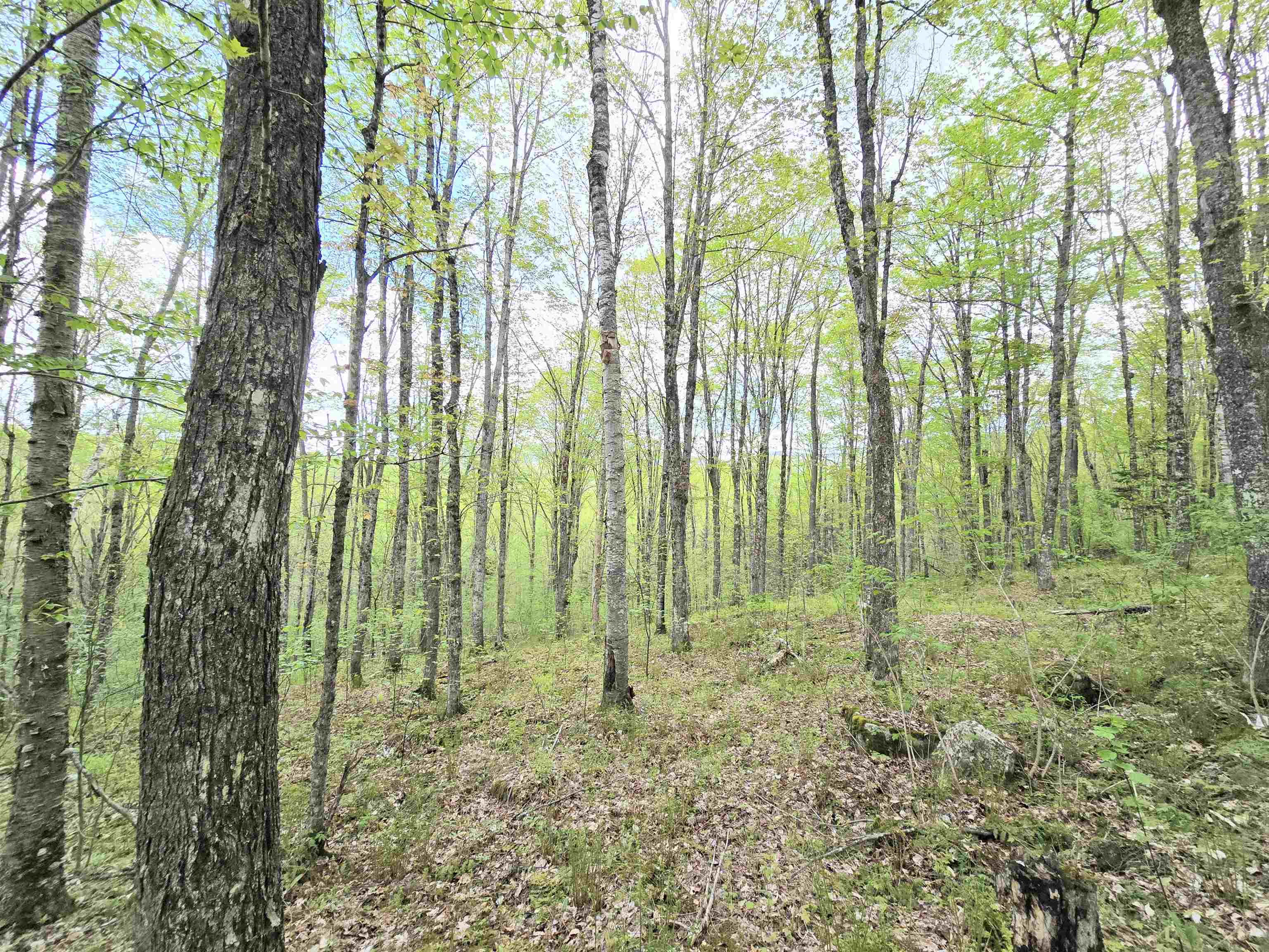 Columbia, New Hampshire 03576, United States, ,Land,Pending,140687