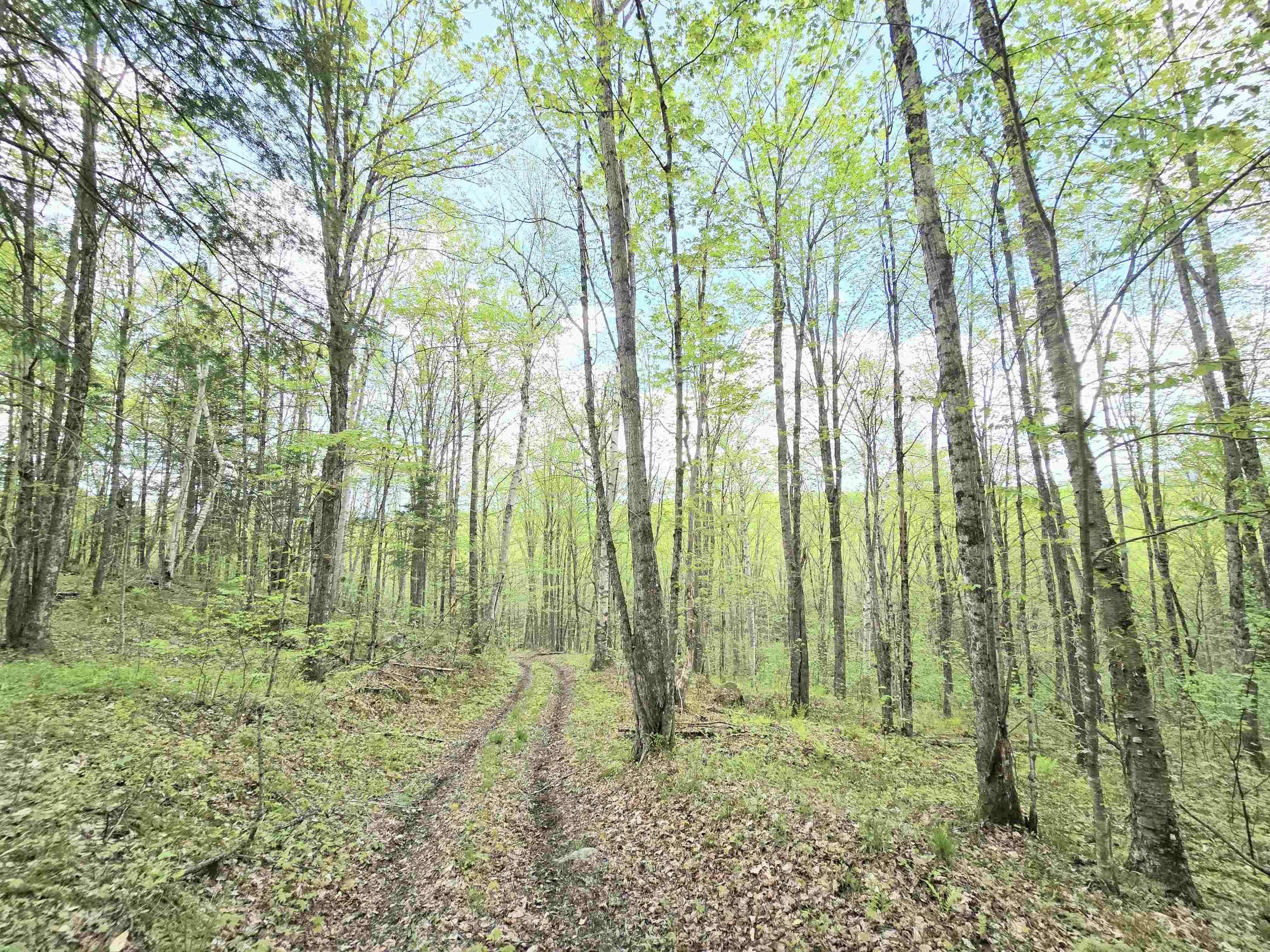 Columbia, New Hampshire 03576, United States, ,Land,Pending,140687