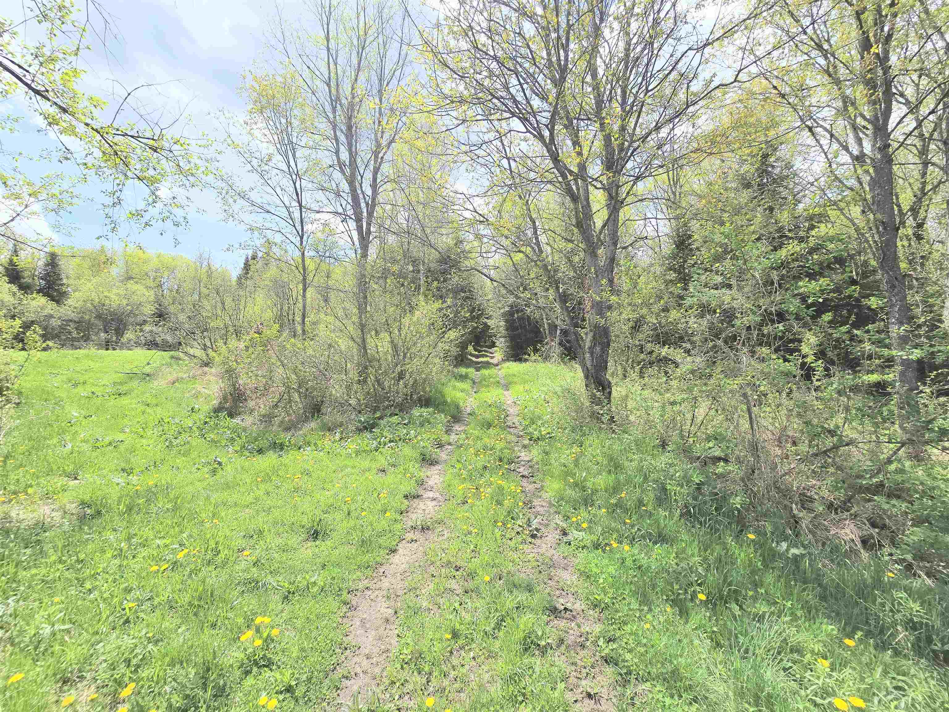 Columbia, New Hampshire 03576, United States, ,Land,Pending,140687