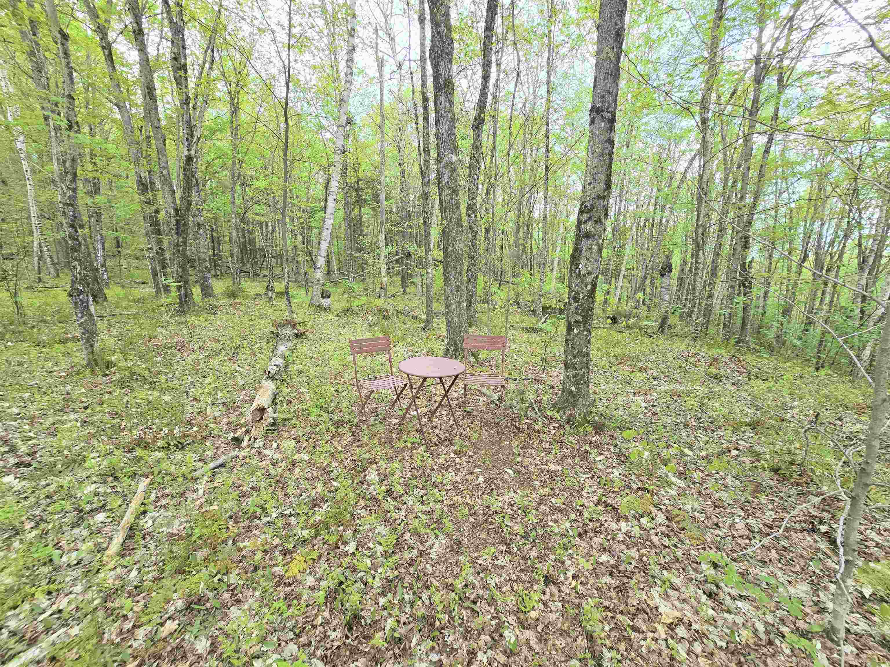 Columbia, New Hampshire 03576, United States, ,Land,Pending,140687