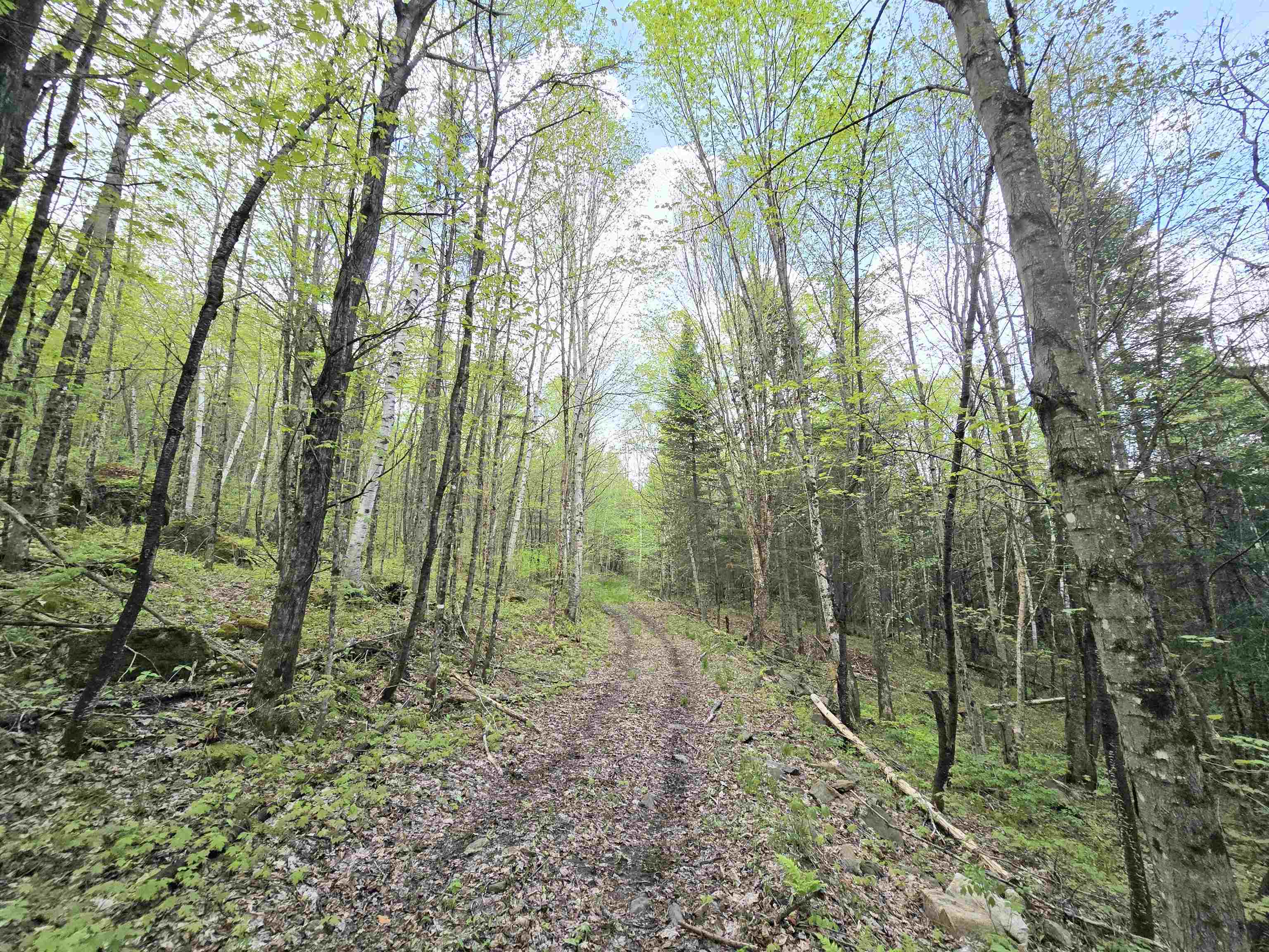 Columbia, New Hampshire 03576, United States, ,Land,Pending,140687