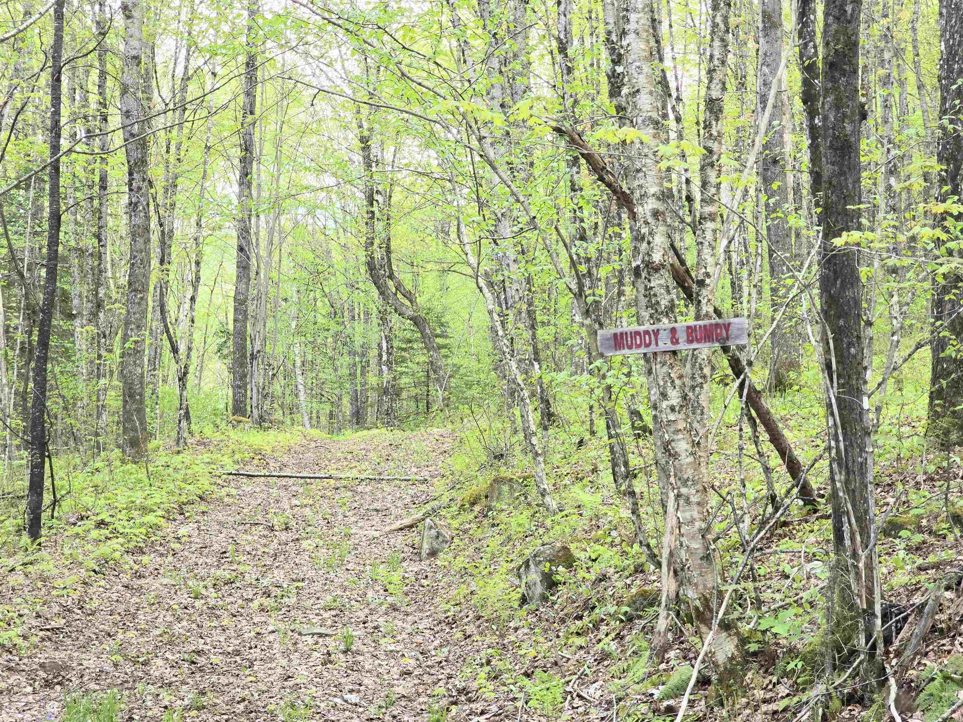 Columbia, New Hampshire 03576, United States, ,Land,Pending,140687