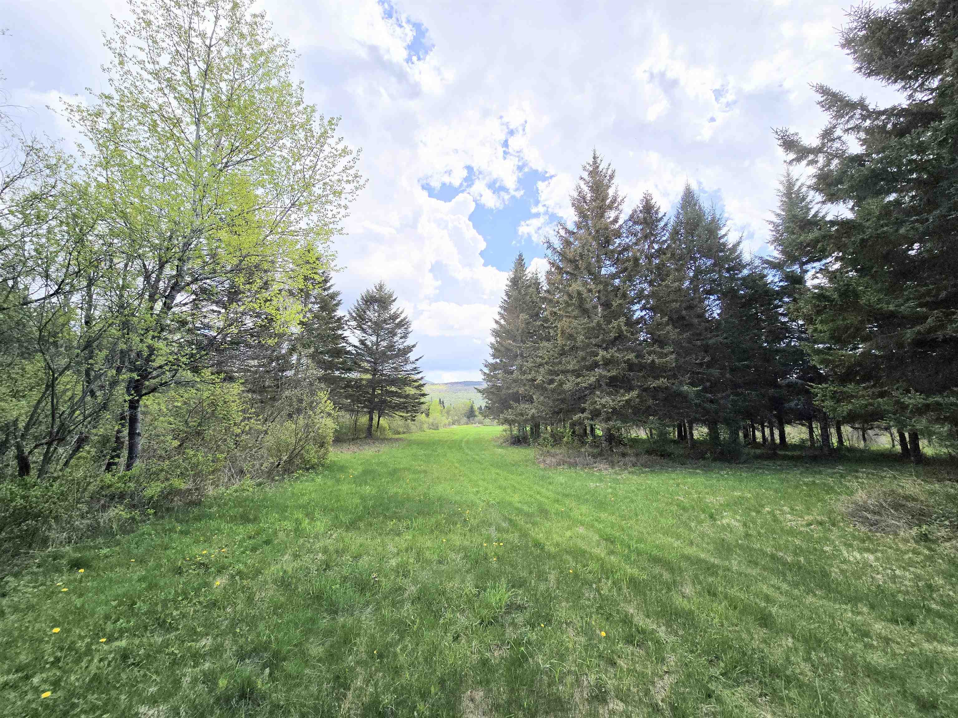 Columbia, New Hampshire 03576, United States, ,Land,Pending,140687