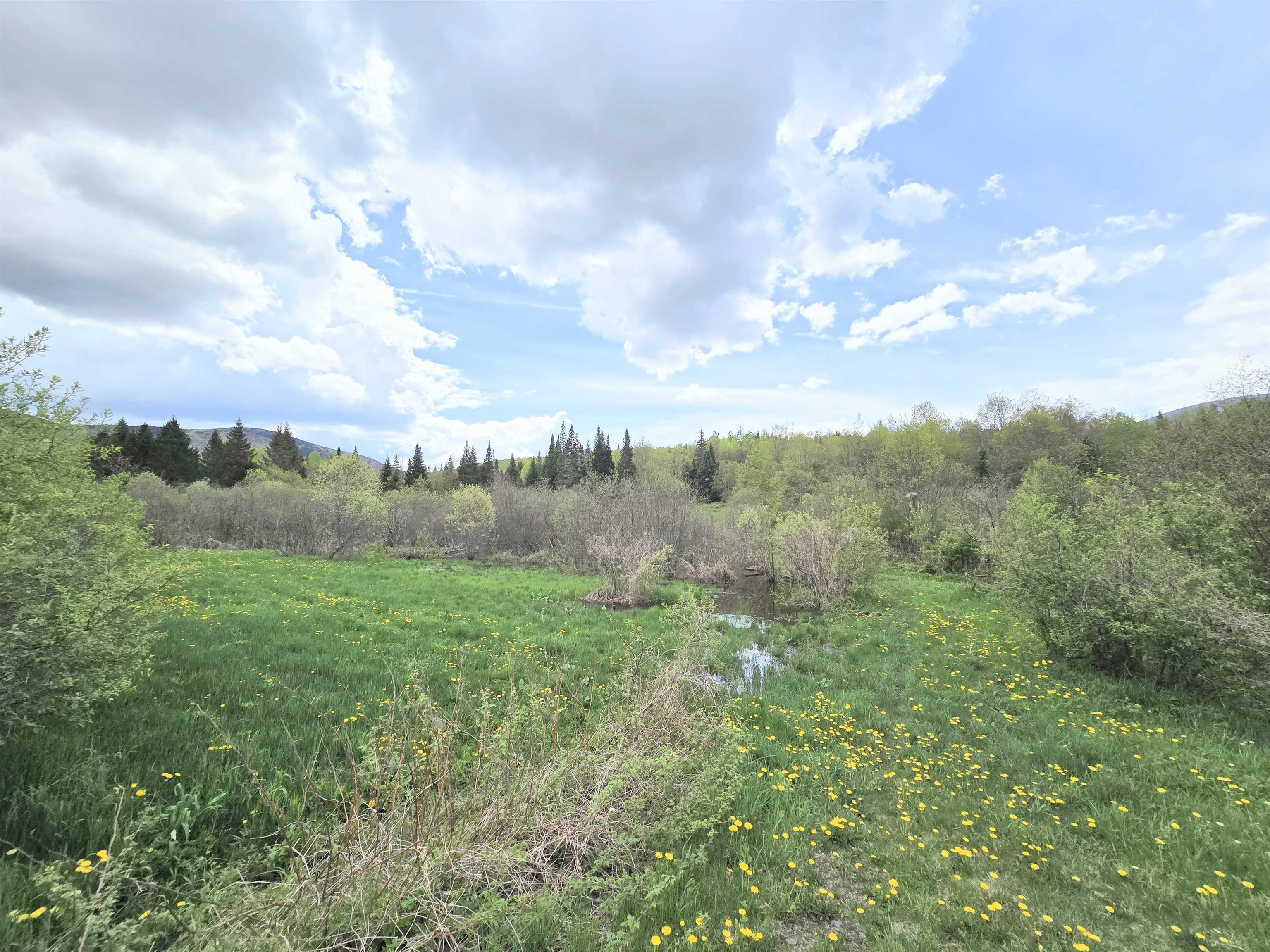 Columbia, New Hampshire 03576, United States, ,Land,Pending,140687