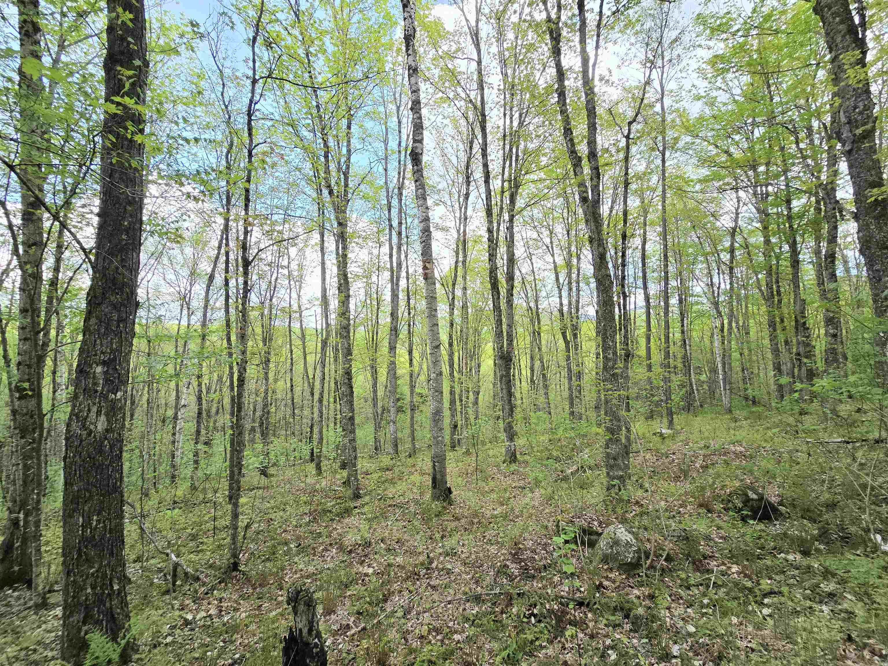 Columbia, New Hampshire 03576, United States, ,Land,Pending,140687