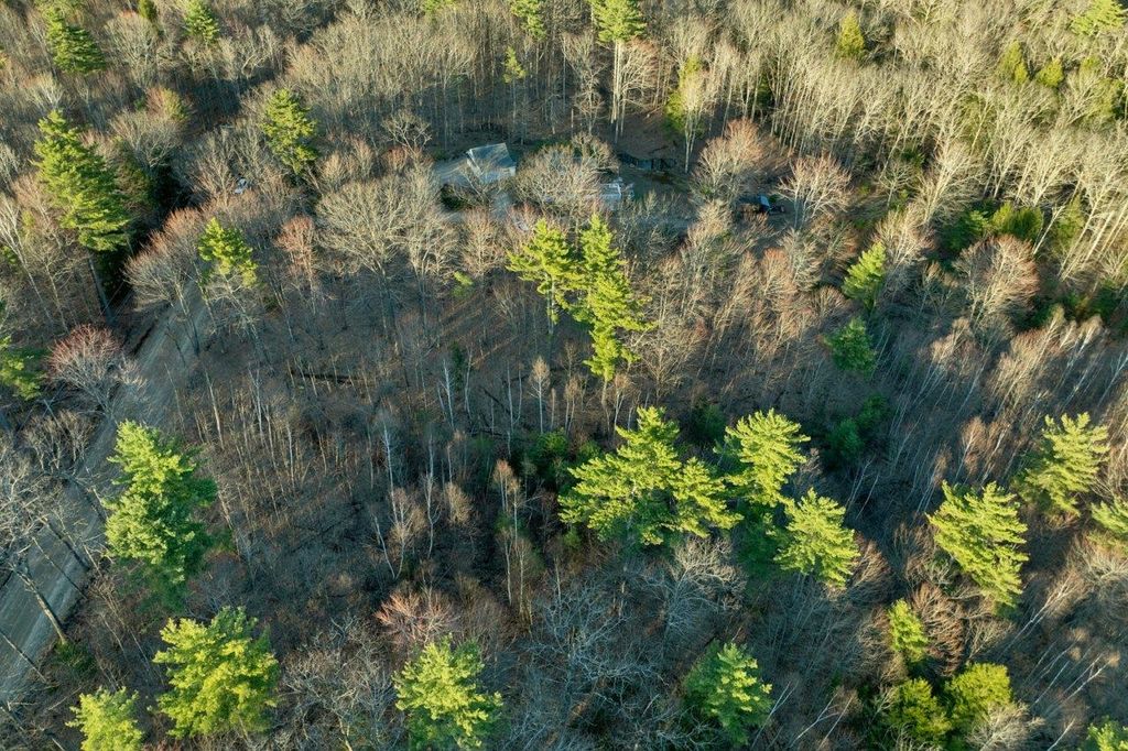 Photo of 318 Hermit Woods Road, Meredith, NH 03253 (MLS # 5084930)