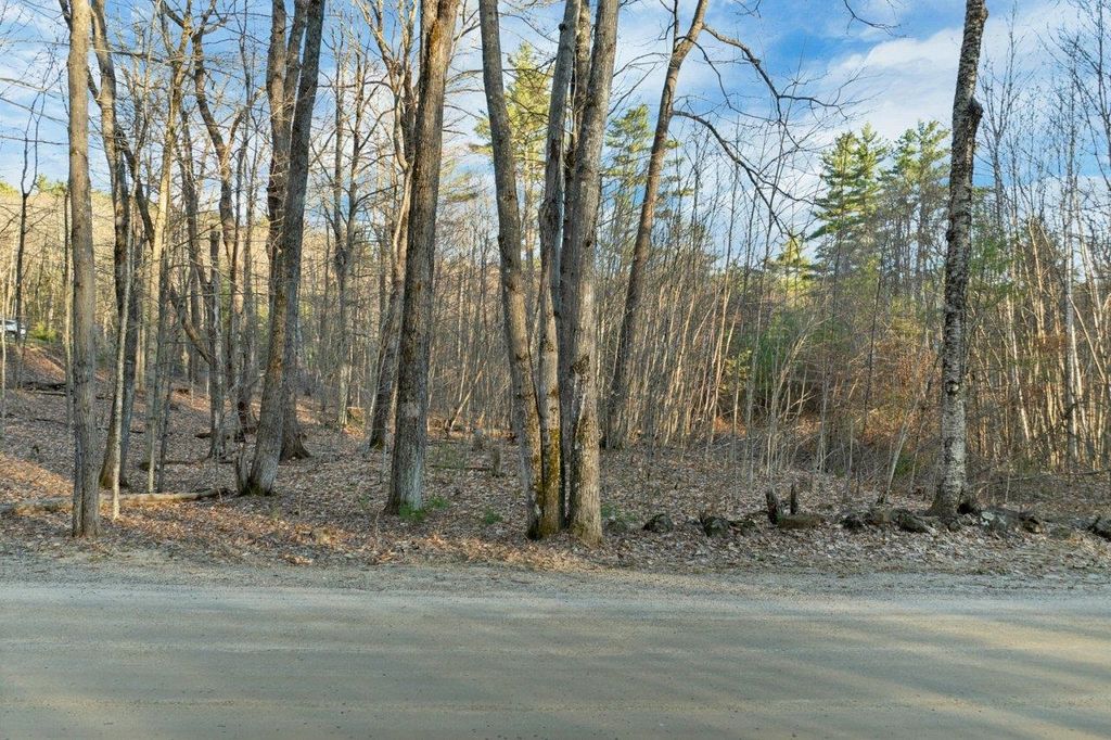 Photo of 318 Hermit Woods Road, Meredith, NH 03253 (MLS # 5084930)