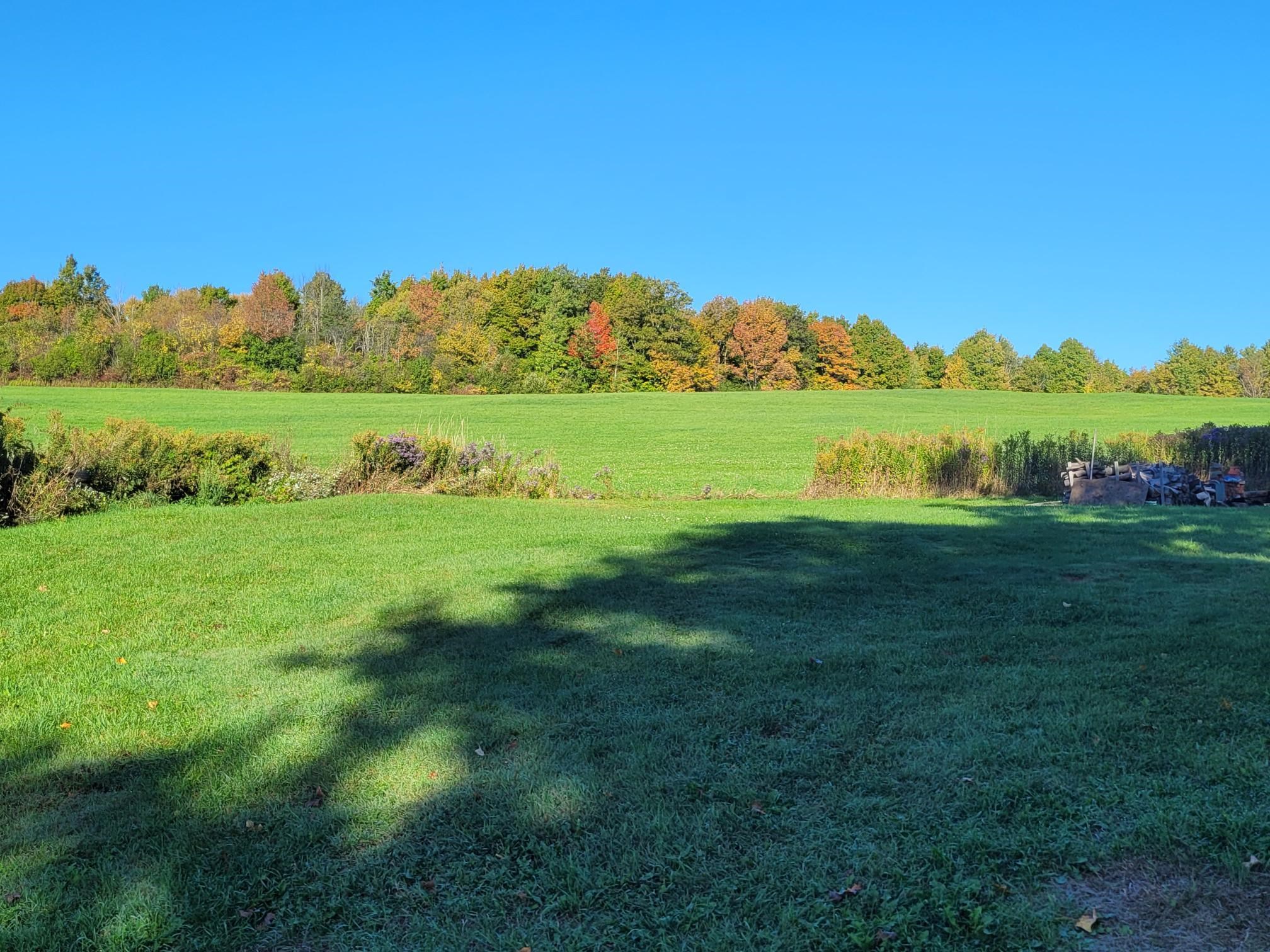 Milton, Vermont 05468, United States, 2 Bedrooms Bedrooms, ,1 BathroomBathrooms,Residential,Active,218652