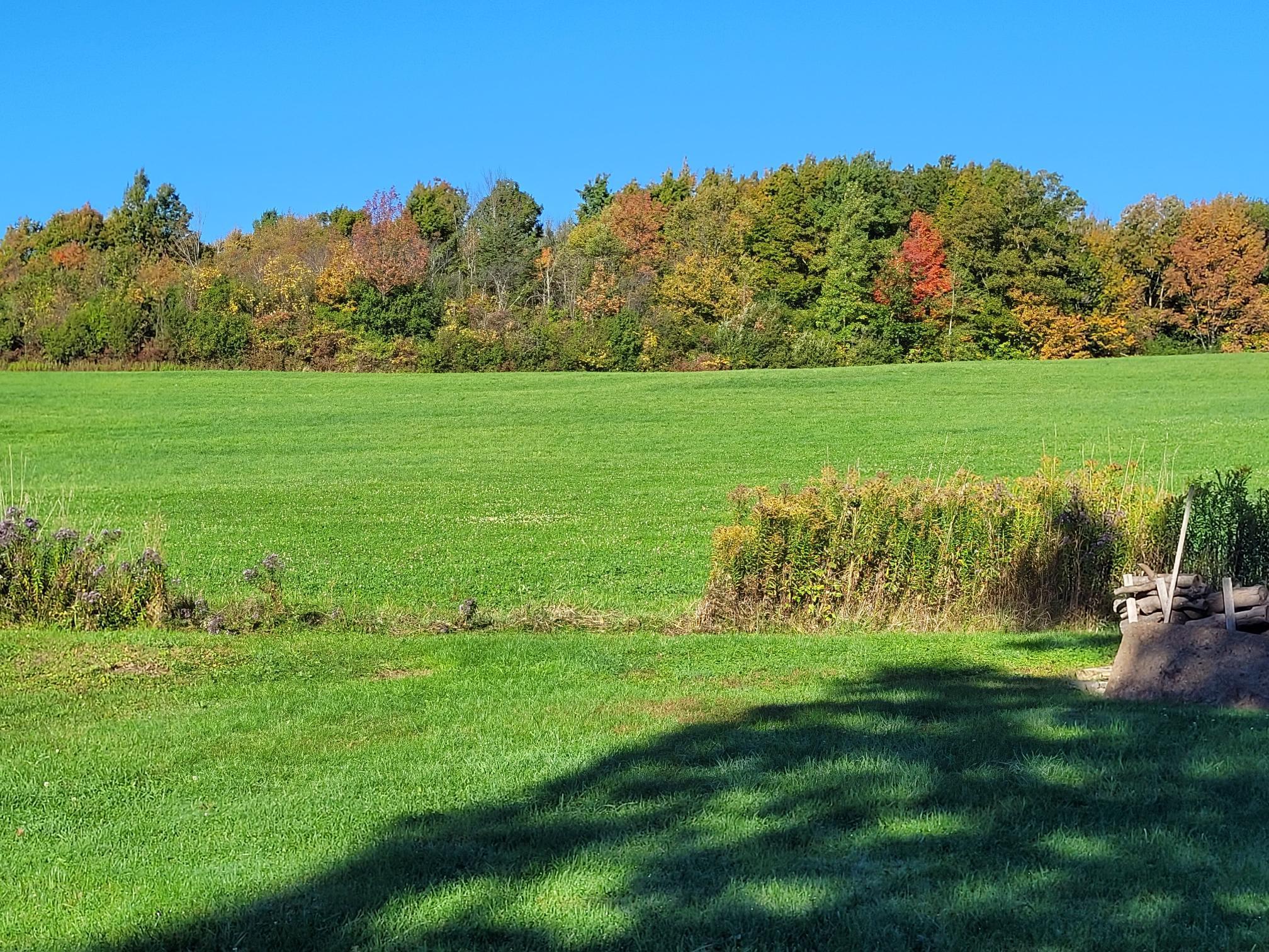 Milton, Vermont 05468, United States, 2 Bedrooms Bedrooms, ,1 BathroomBathrooms,Residential,Active,218652