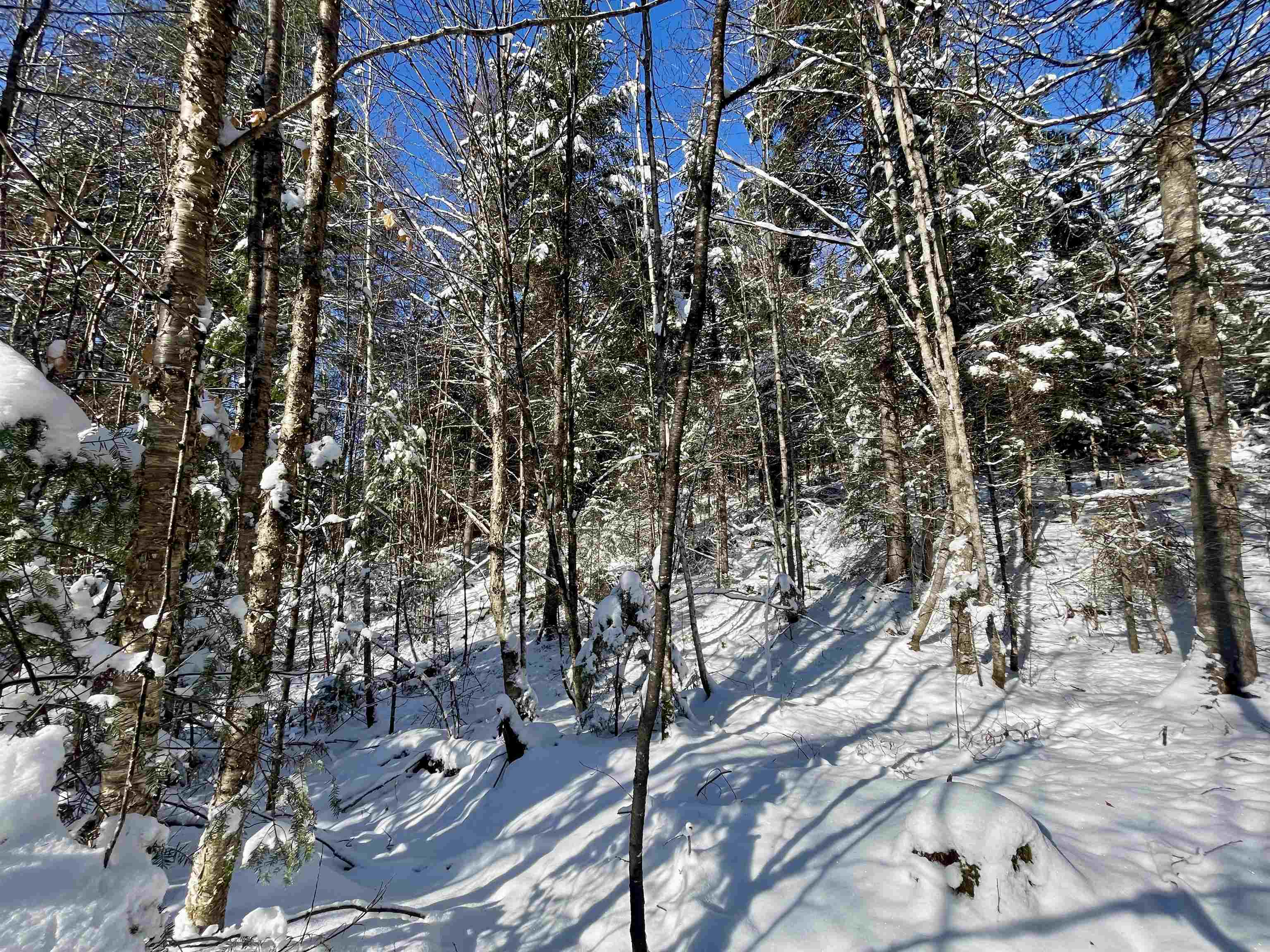 00 Marshall Newland Road