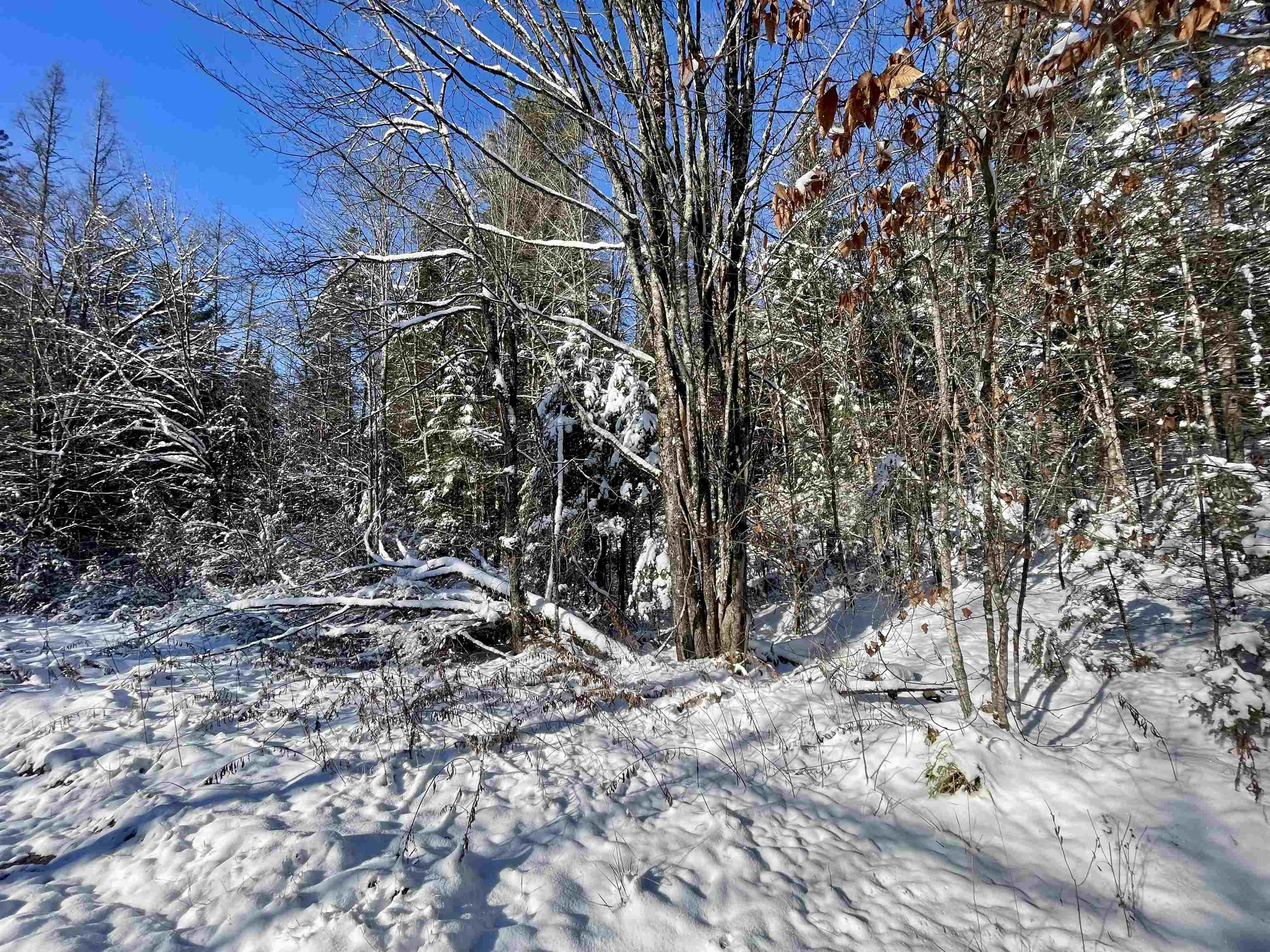 00 Marshall Newland Road