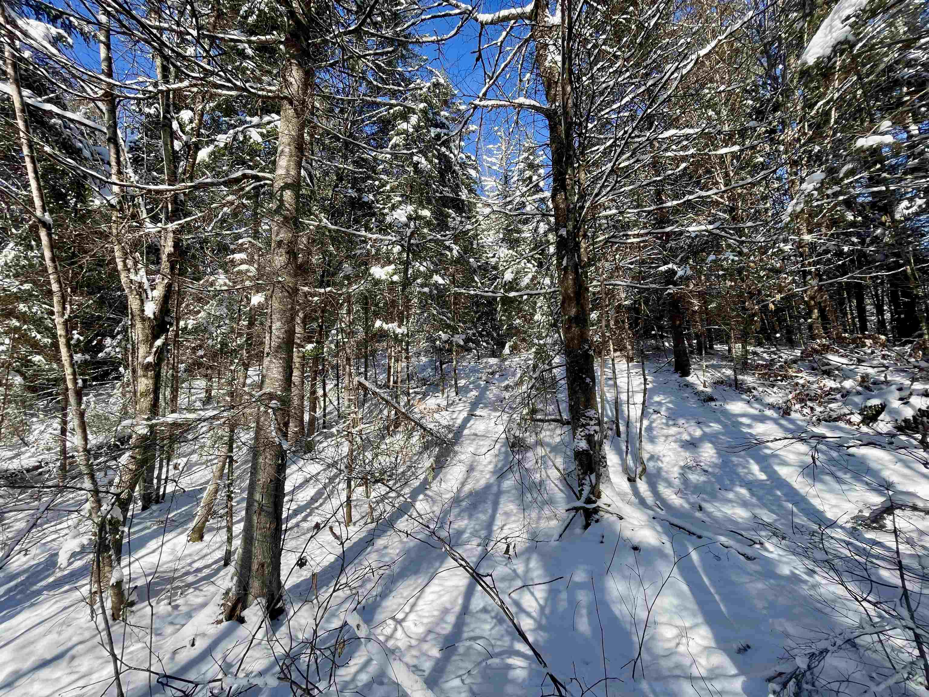 00 Marshall Newland Road