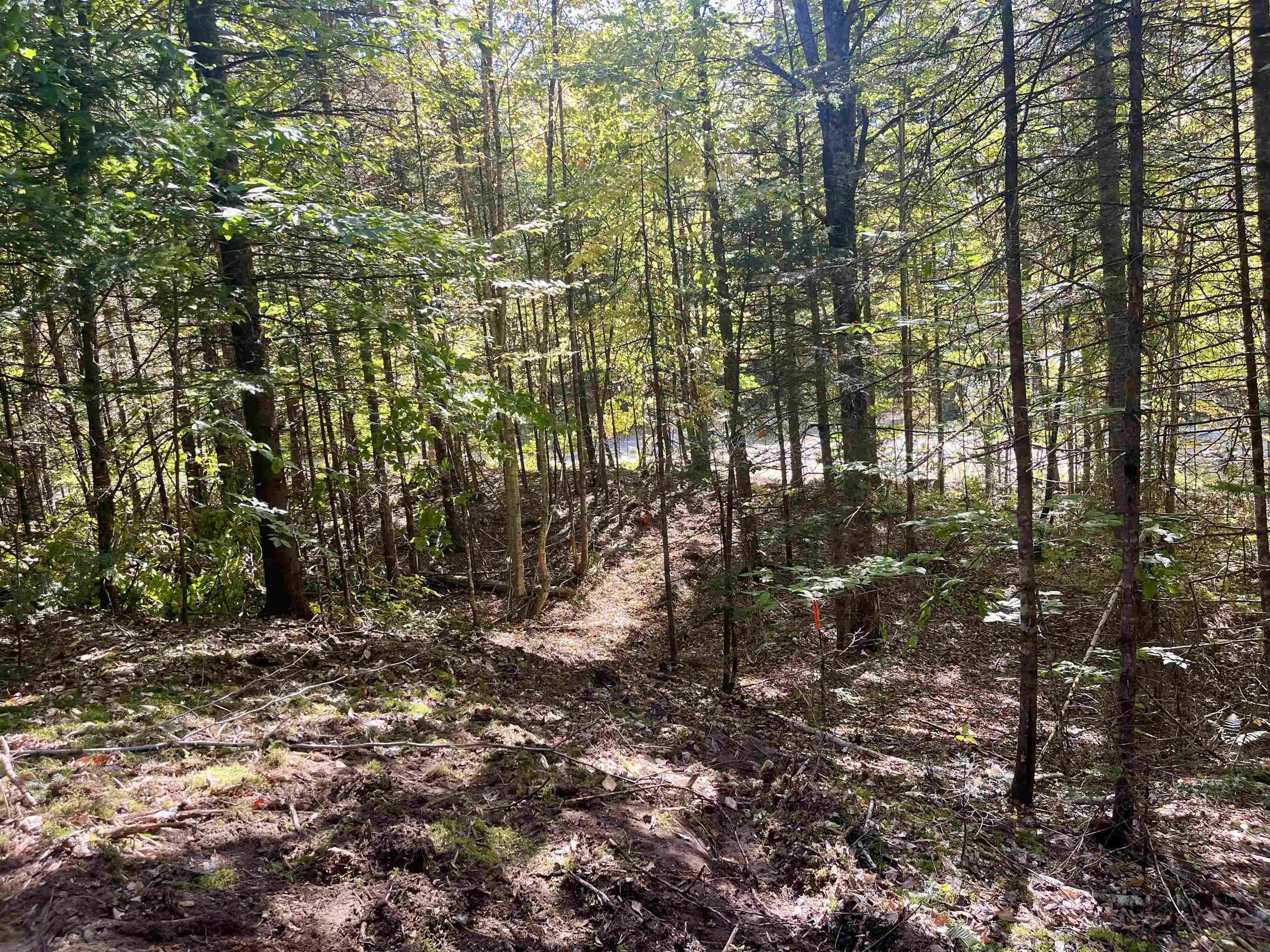 00 Marshall Newland Road