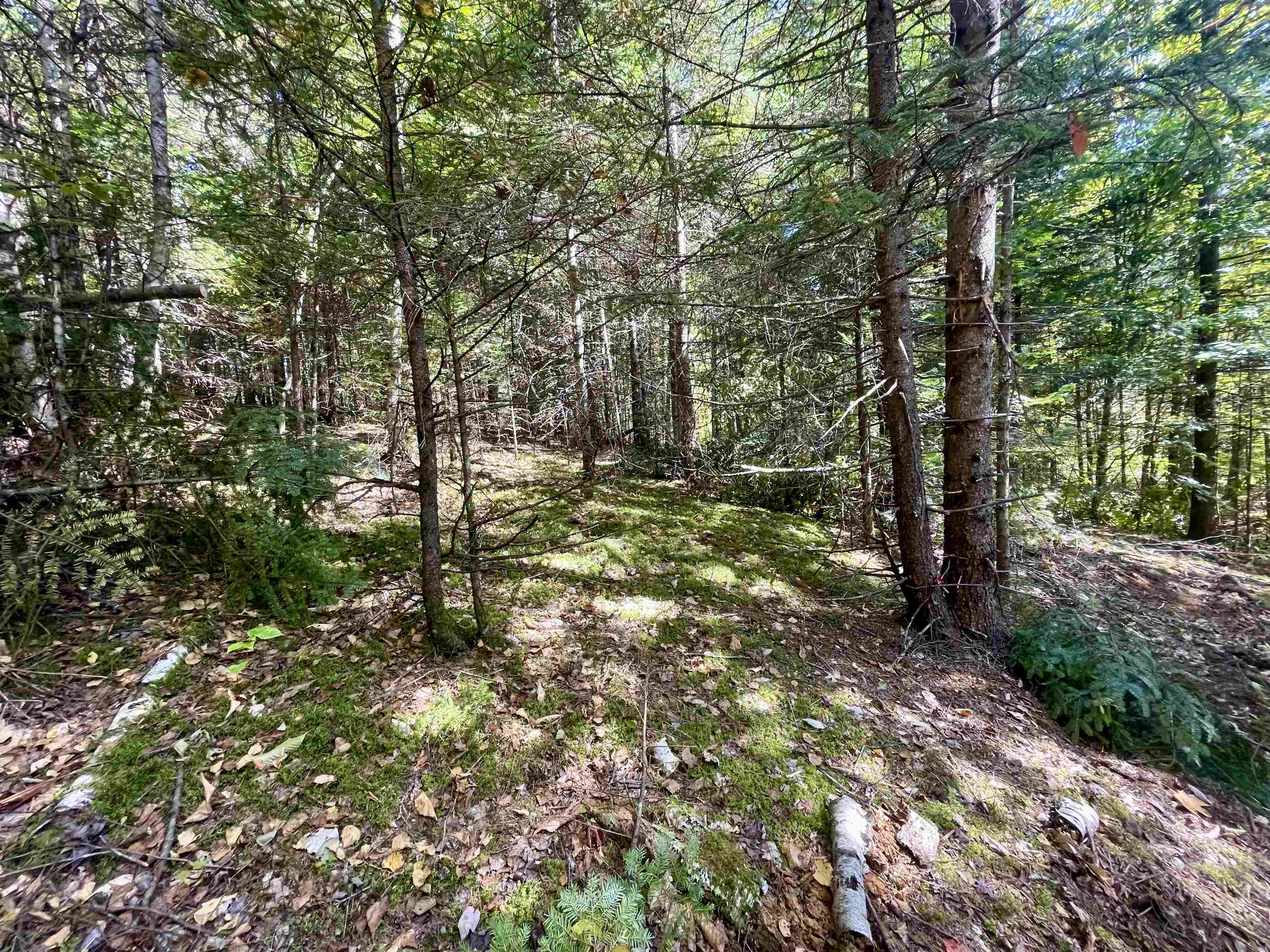 00 Marshall Newland Road