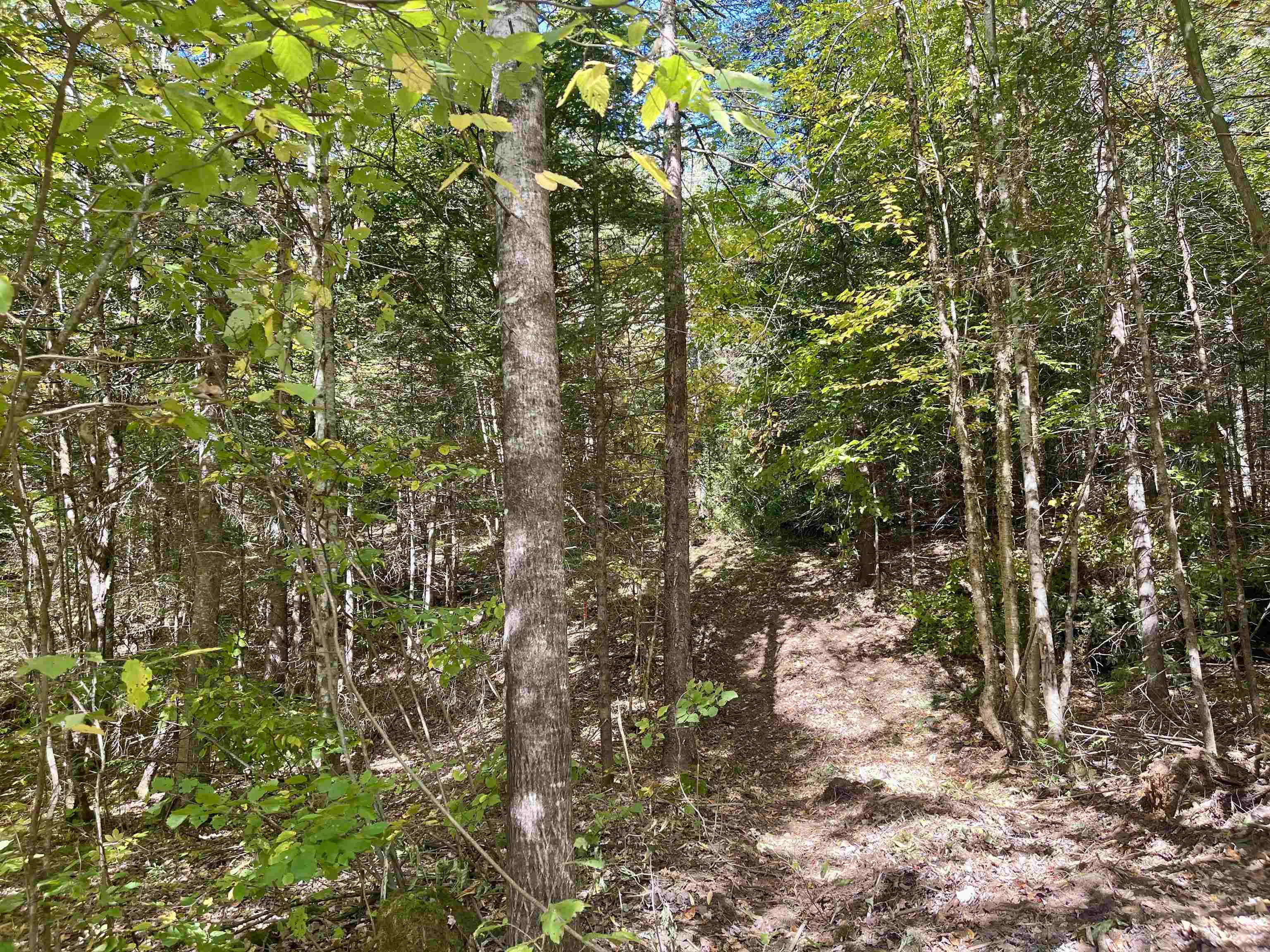 00 Marshall Newland Road