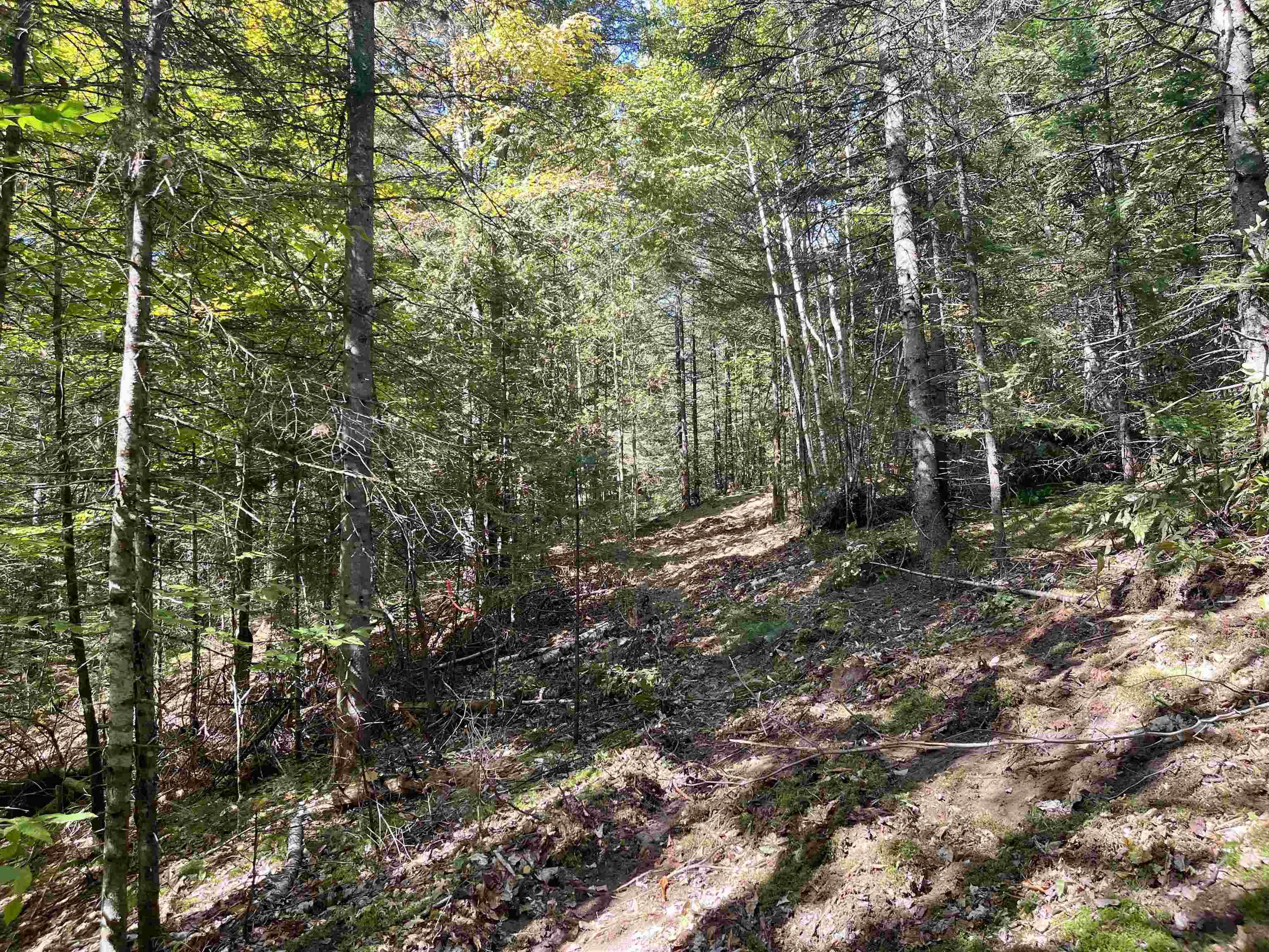 00 Marshall Newland Road