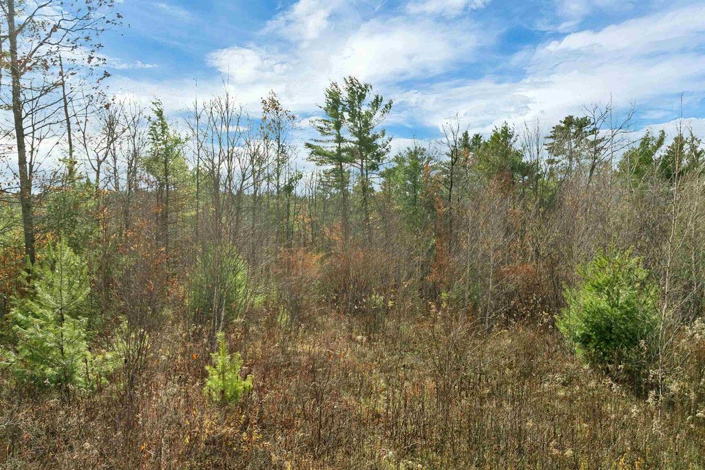 Photo of Lady Slipper Lot 7 Lane, Moultonborough, NH 03254 (MLS # 5089088)