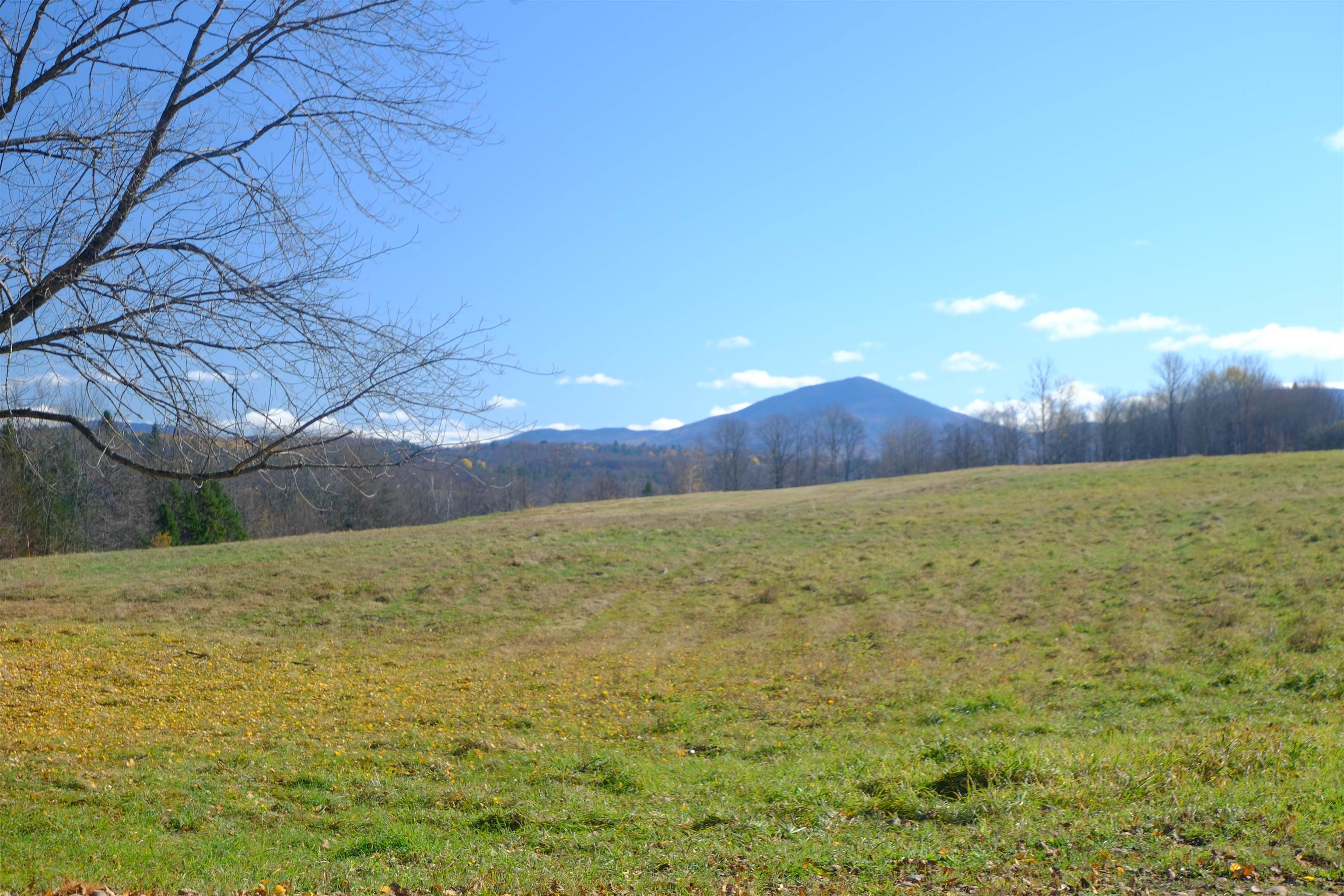 592 Vertical Mile Road