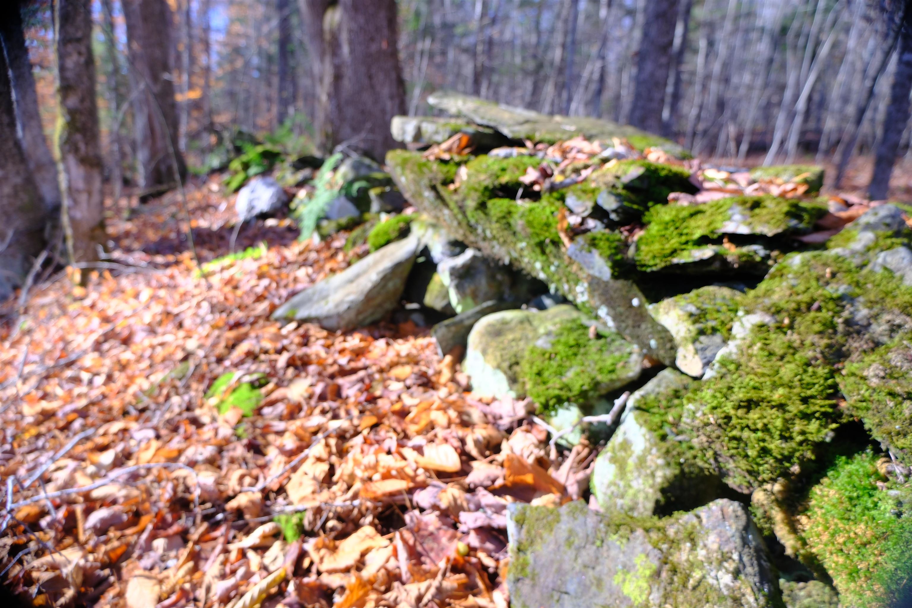 592 Vertical Mile Road