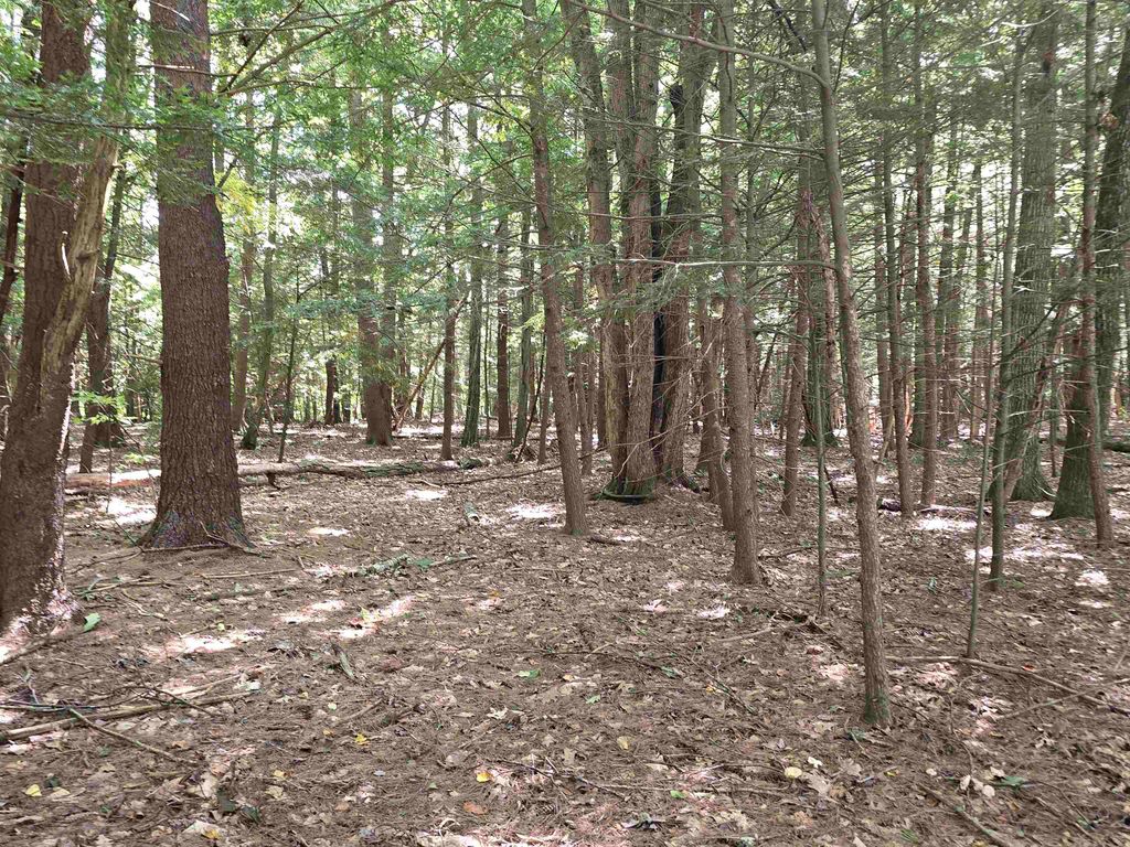 Photo of Claremont Road, Charlestown, NH 03603 (MLS # 5023258)
